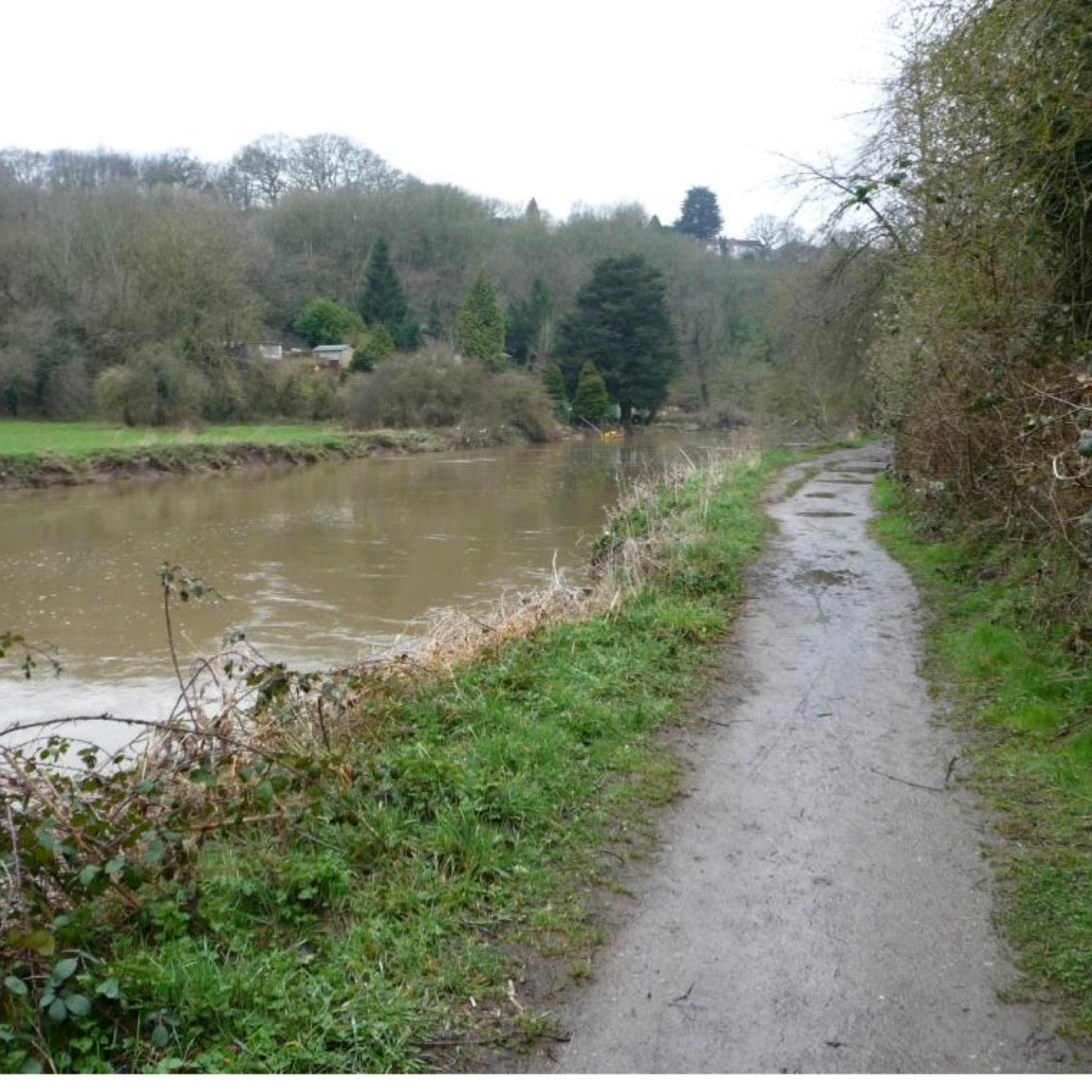 Sound Escape 4: an evening chorus of birdsong on the River Avon near Bristol