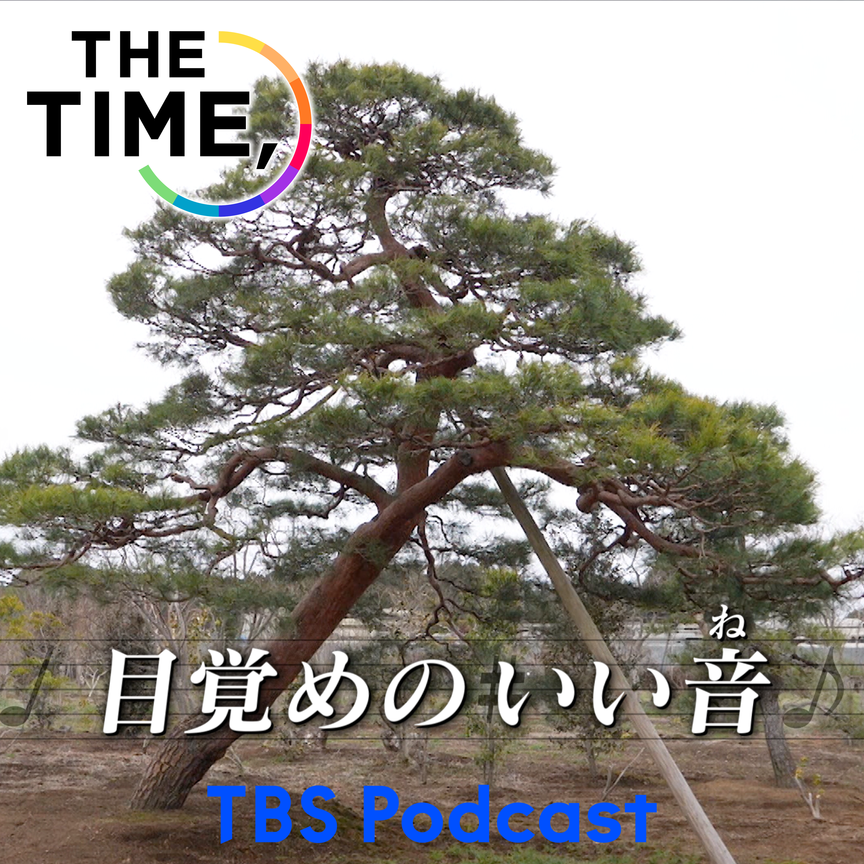 「赤松の剪定」 episode artwork