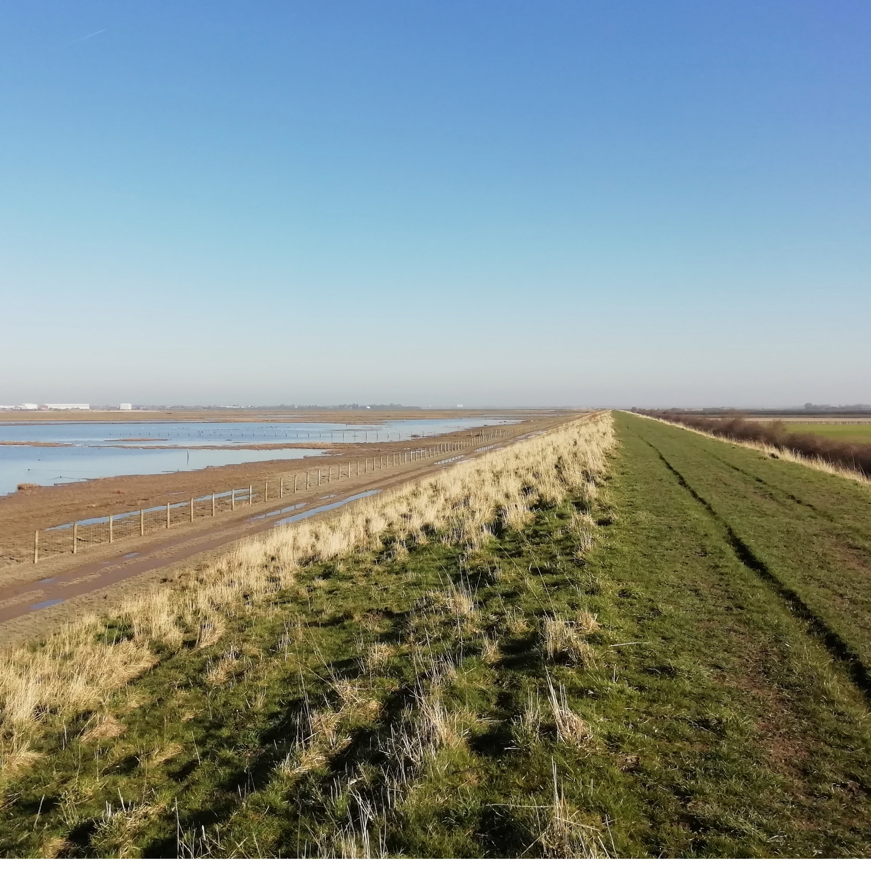 Sound Escape 3: listen to waders, wildfowl and skylarks on the wide marshes of Lancashire's Ribble estuary