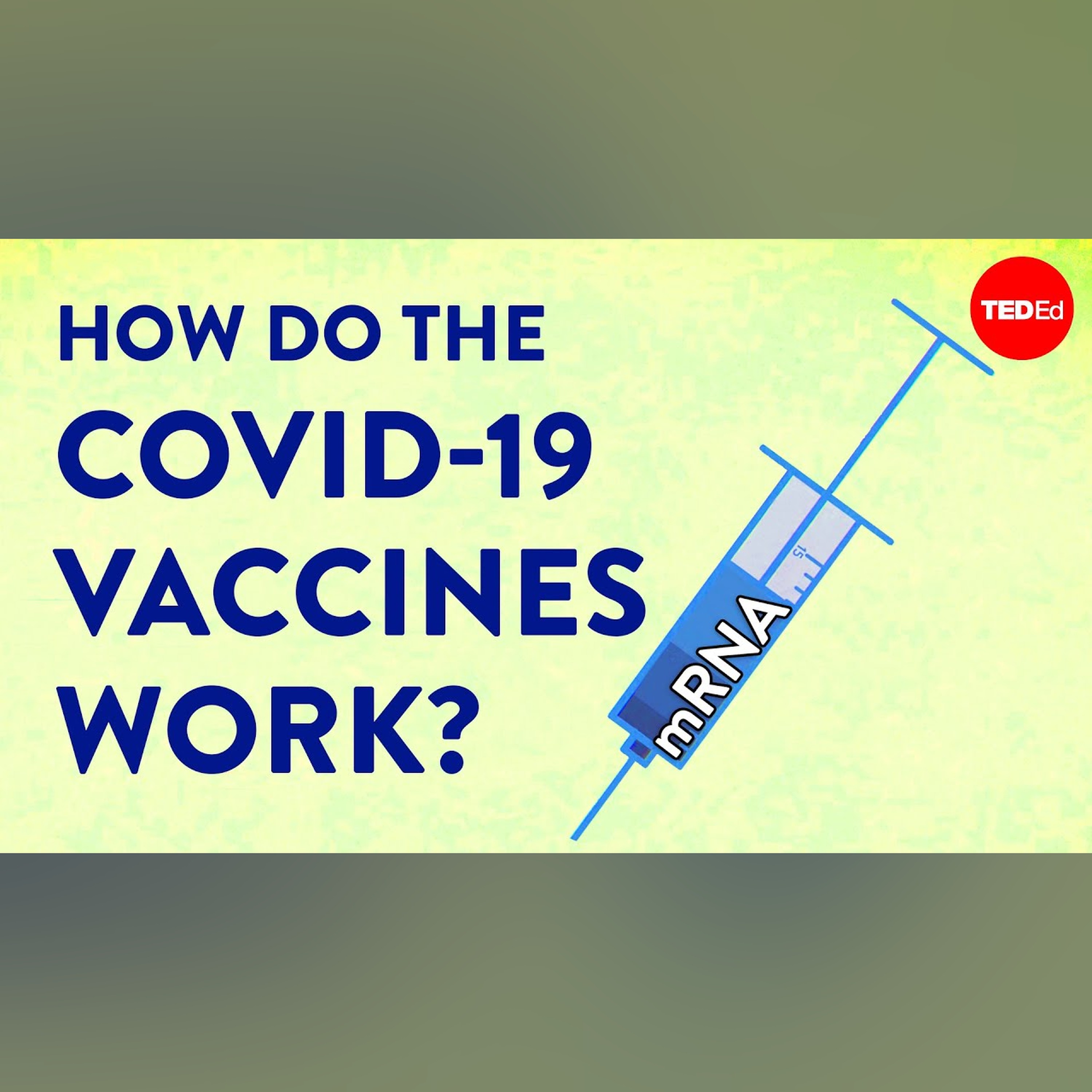 How the COVID-19 vaccines were created so quickly - Kaitlyn Sadtler and Elizabeth Wayne episode artwork