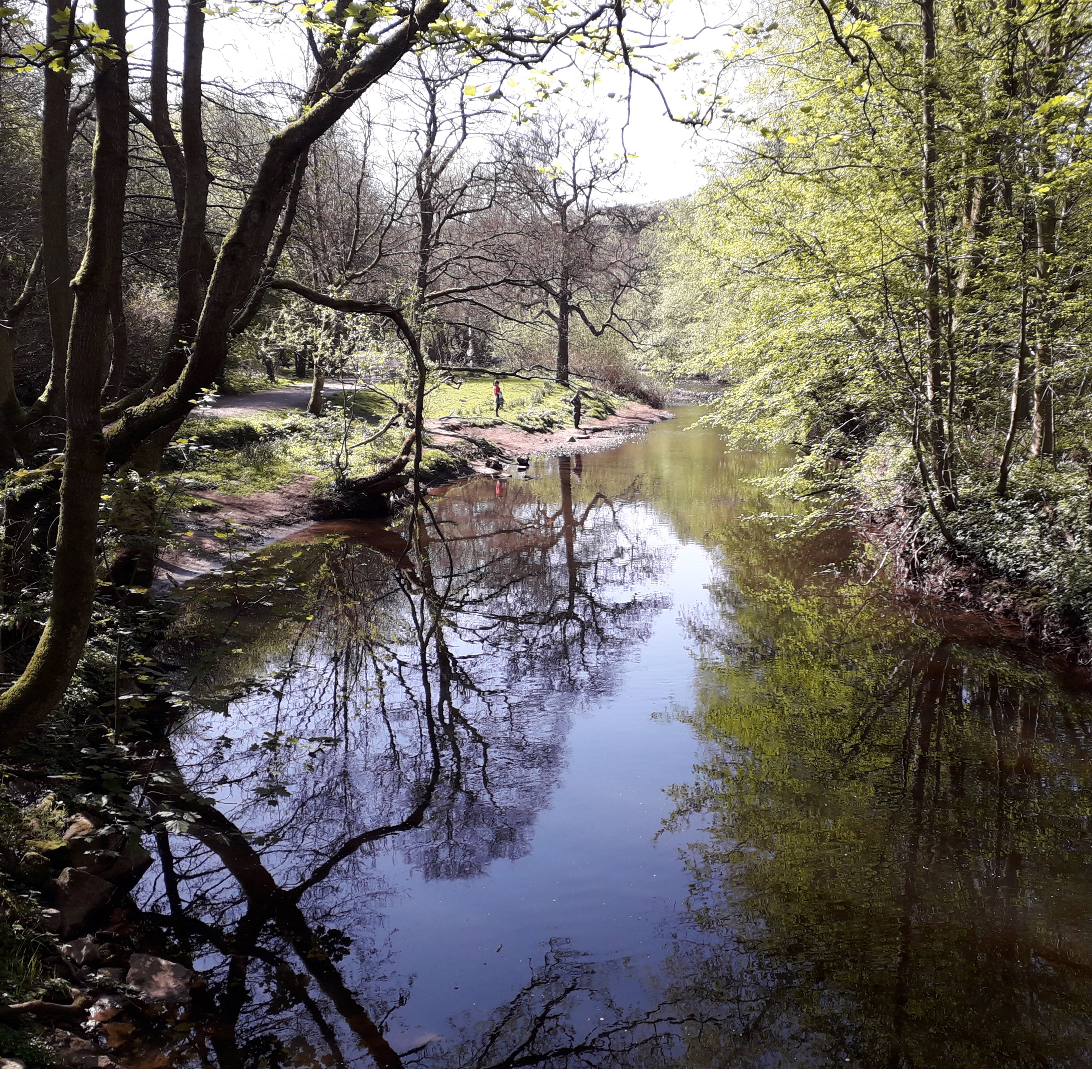91. A charming ramble along Derbyshire's River Govt to talk wildlife, angling and local history