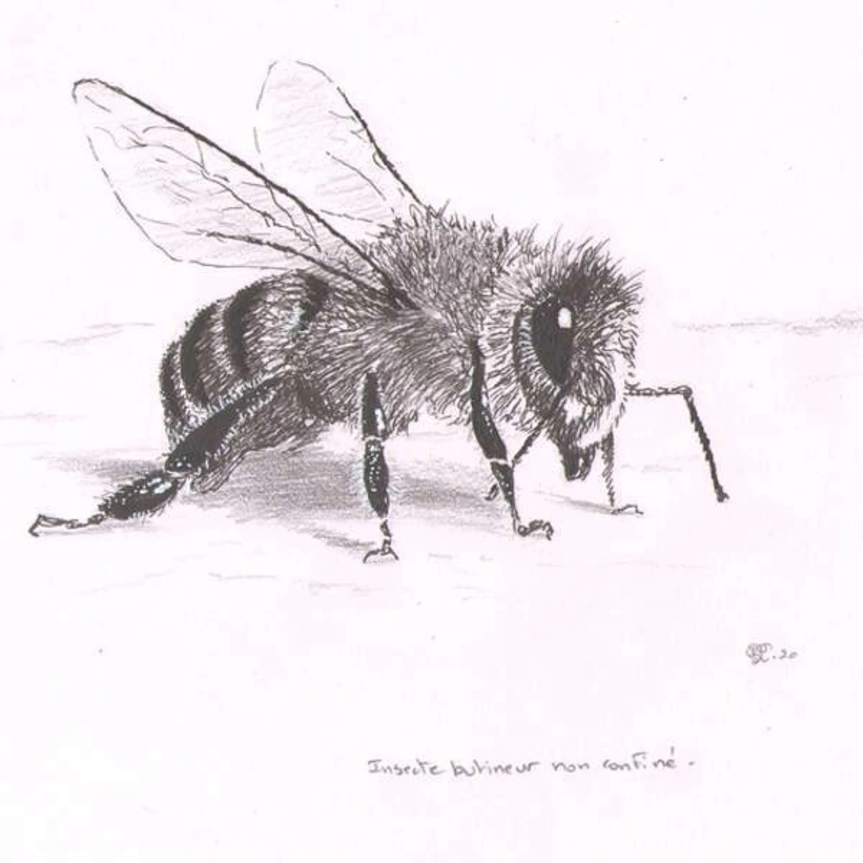 La fable des abeilles