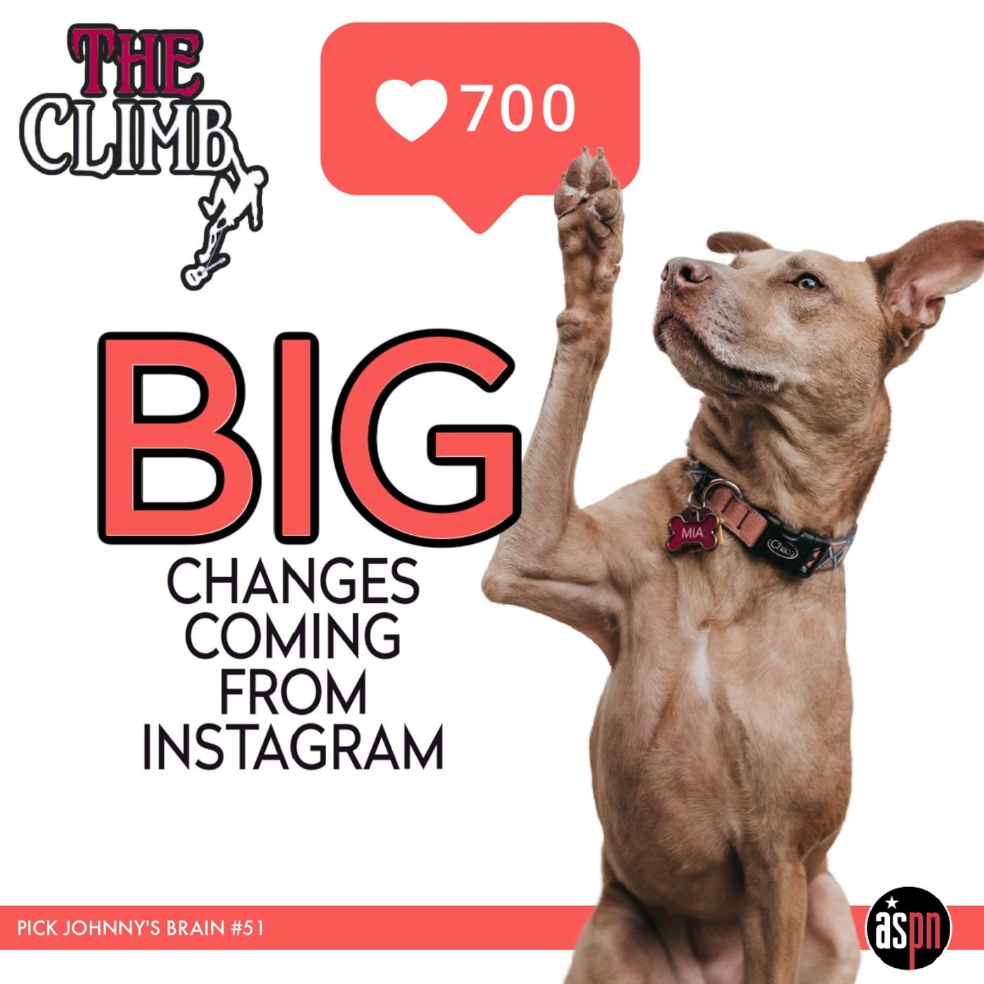 Pick Johnny's Brain #51: BIG Changes Coming From Instagram