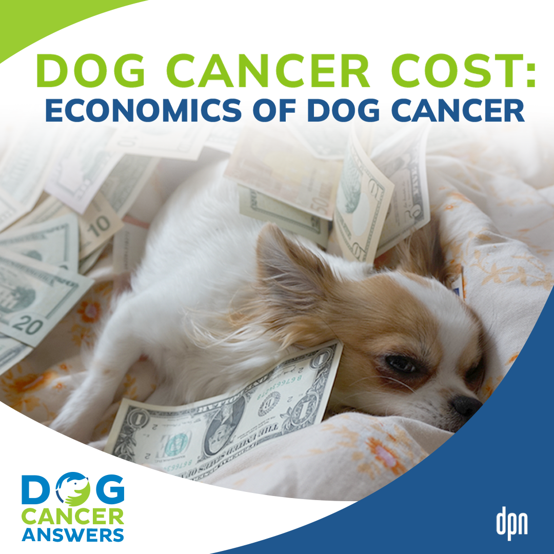 Dog Cancer Cost: Economics of Dog Cancer | Dr. Megan Duffy #157