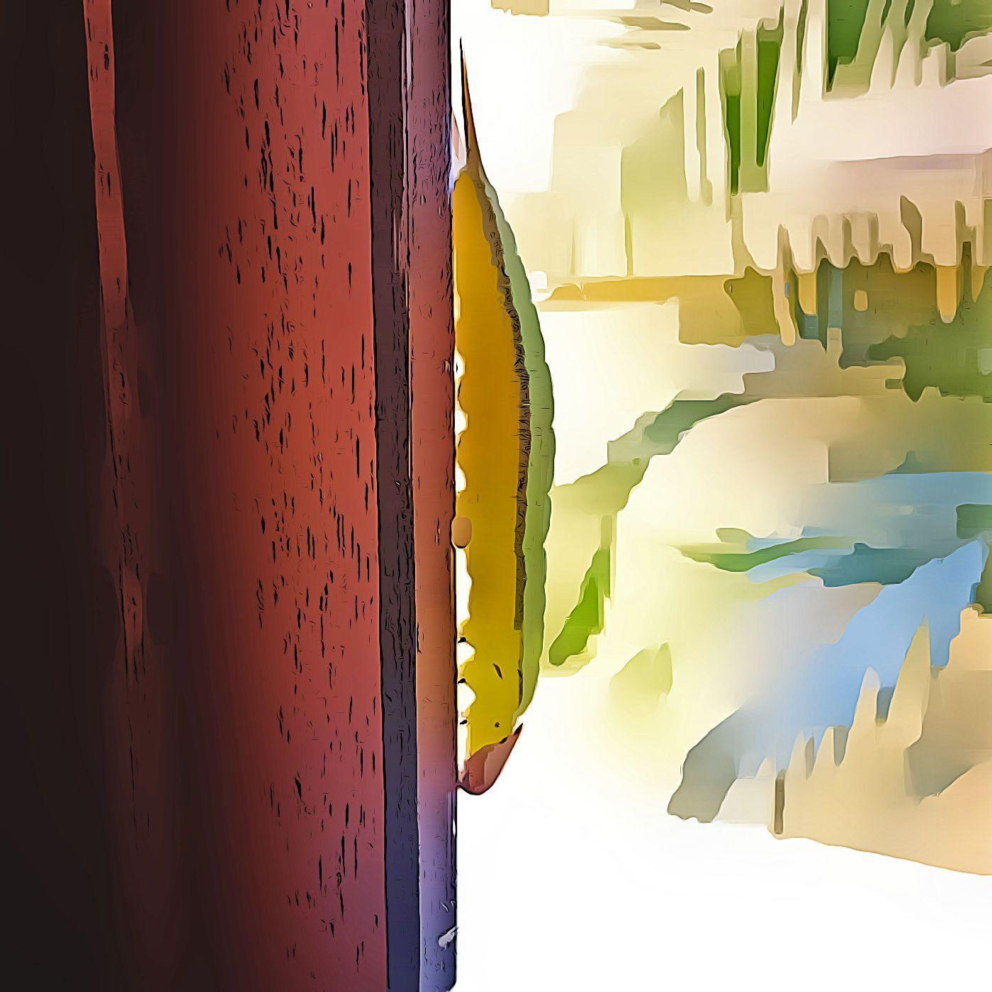 15. A lagarta na janela - sobre confiança na vida