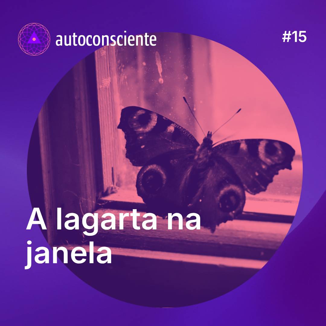 15. A lagarta na janela - sobre confiança na vida