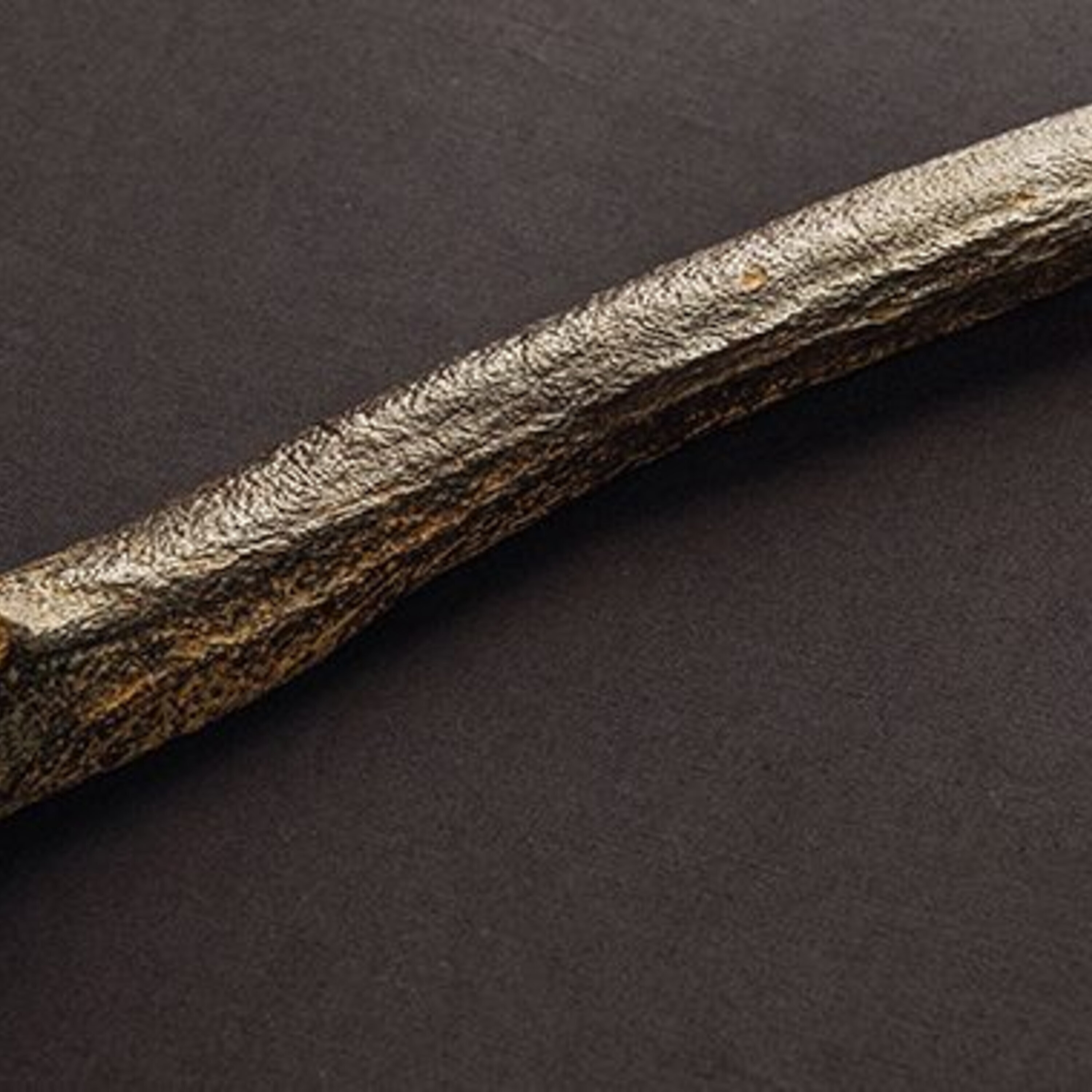 Ancient DNA and a news roundup