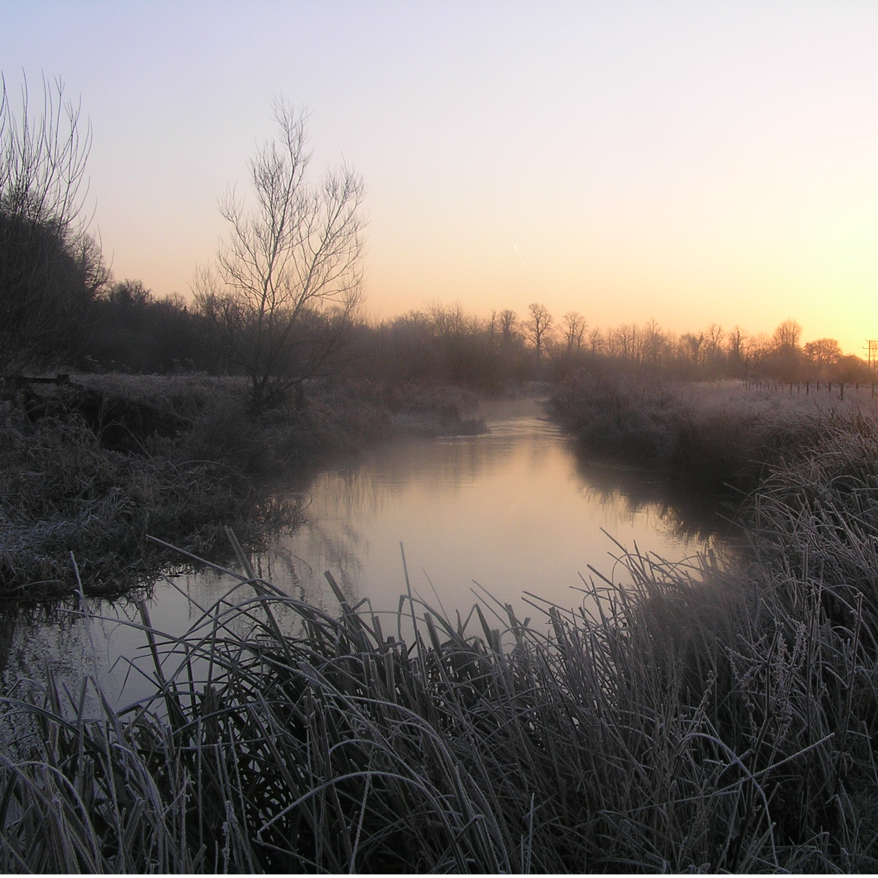 88. A cold and beautiful winter's day by a Dorset lake in search of peace – and perch