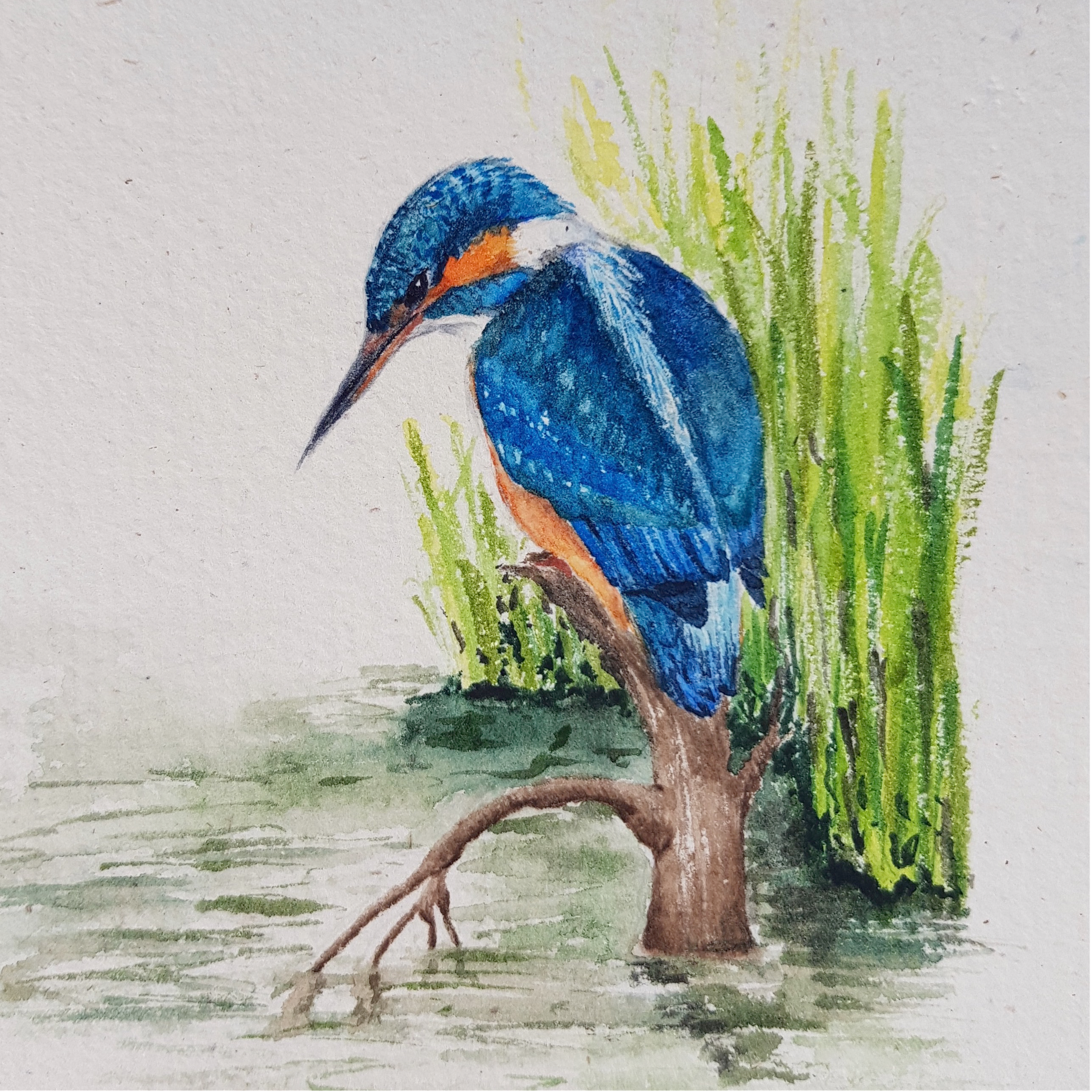 87. Spend a blissful, calming day by the river with a Somerset artist