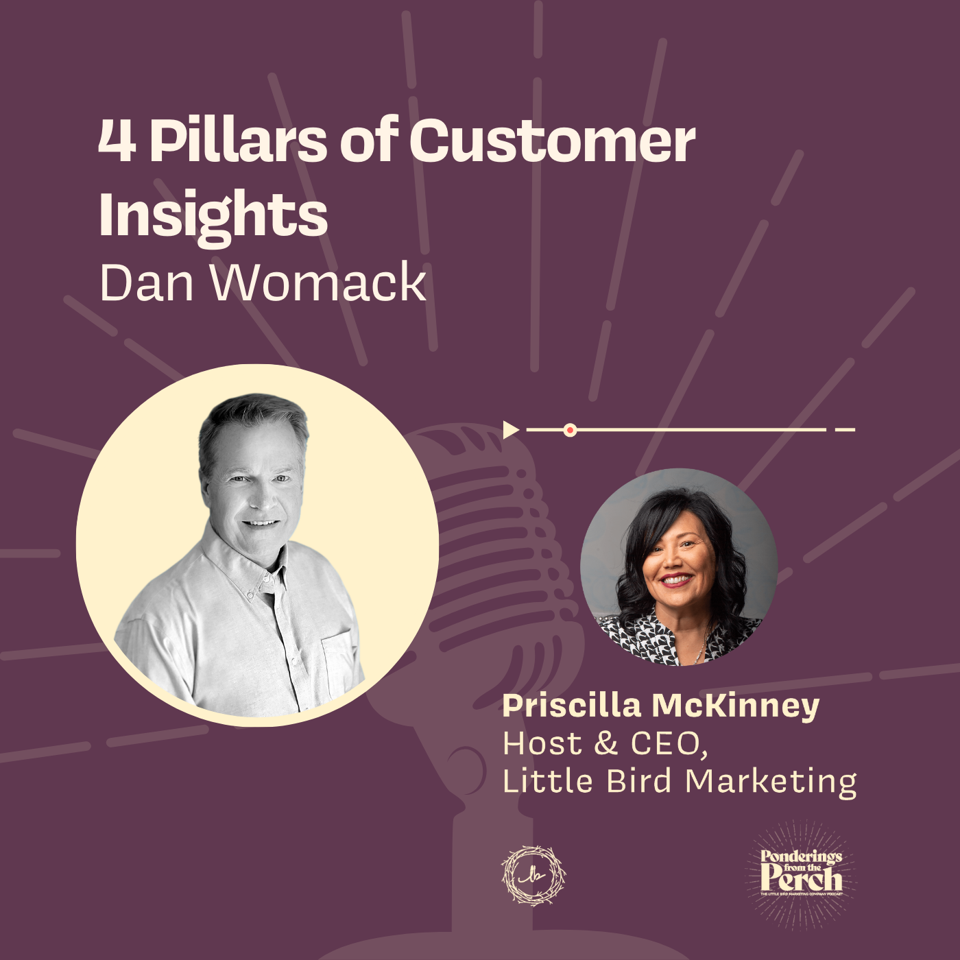 4 Pillars of Customer Insights episode artwork