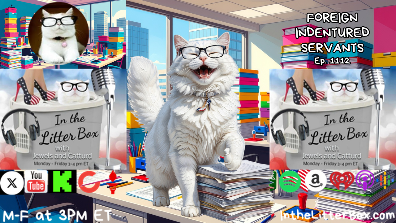 FOREIGN INDENTURED SERVANTS | In the Litter Box w/ Jewels & Catturd – Ep. 1112 – 10/9/2026