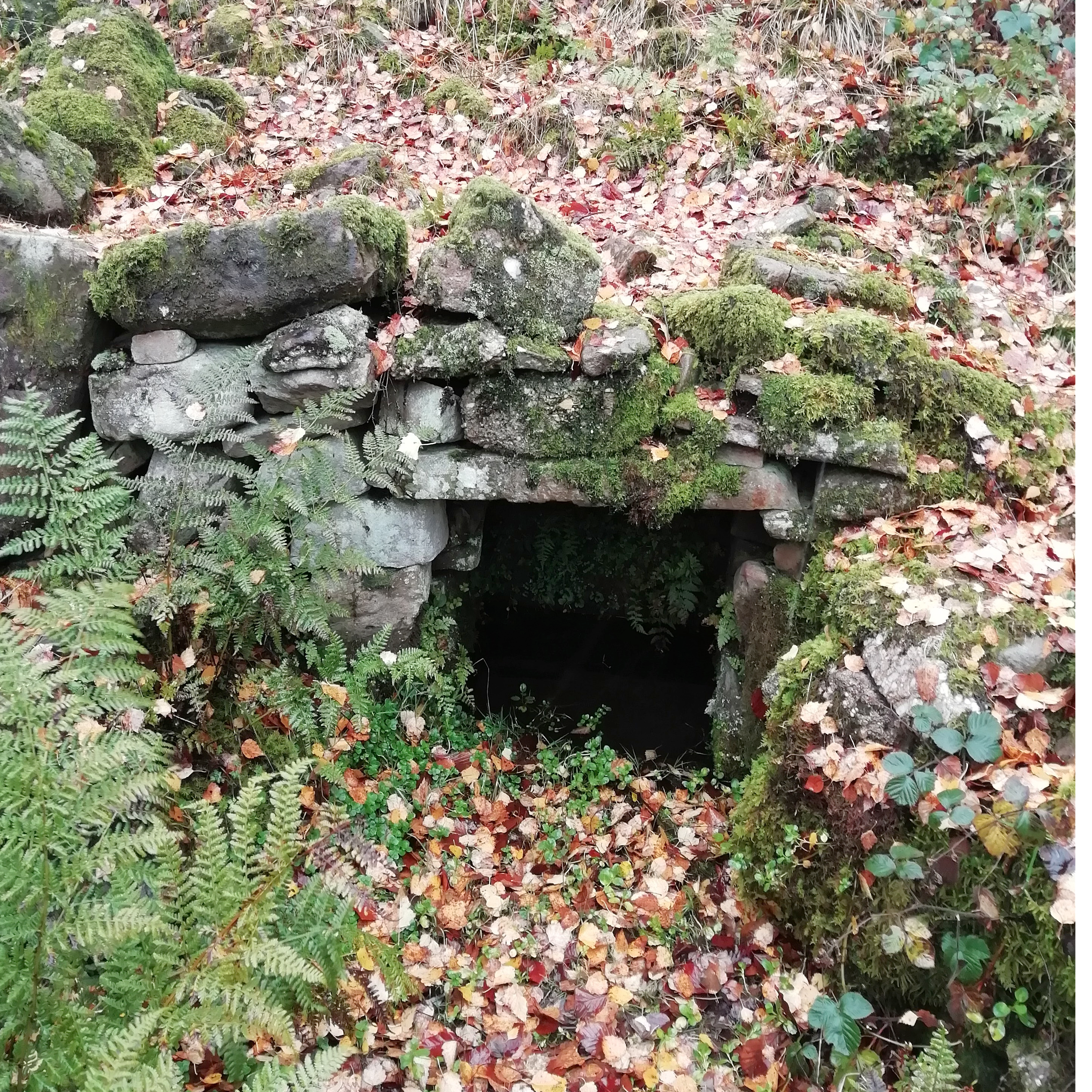 86. Join the quest to find an ancient holy well deep in the Welsh hills