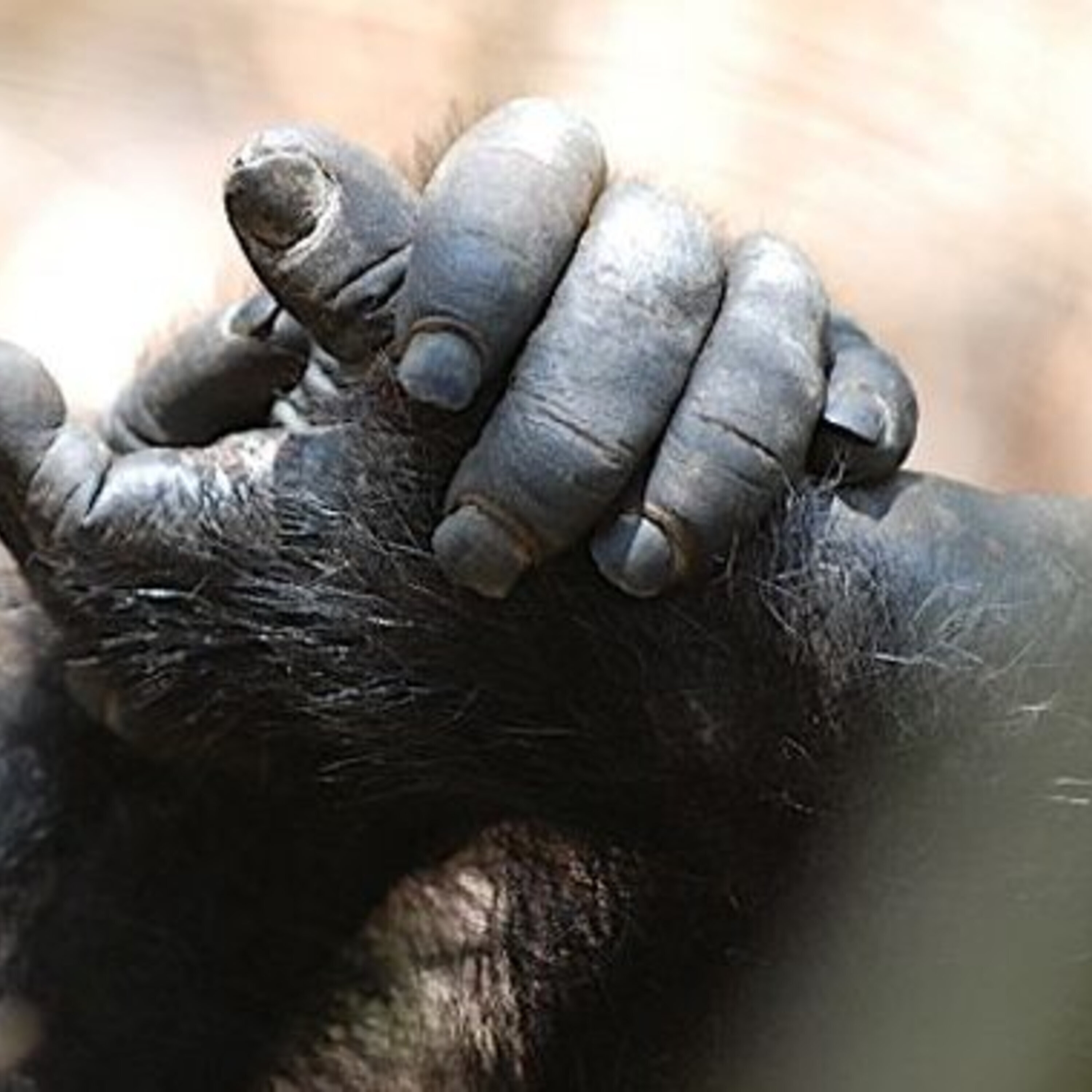 AI therapists and a news roundup