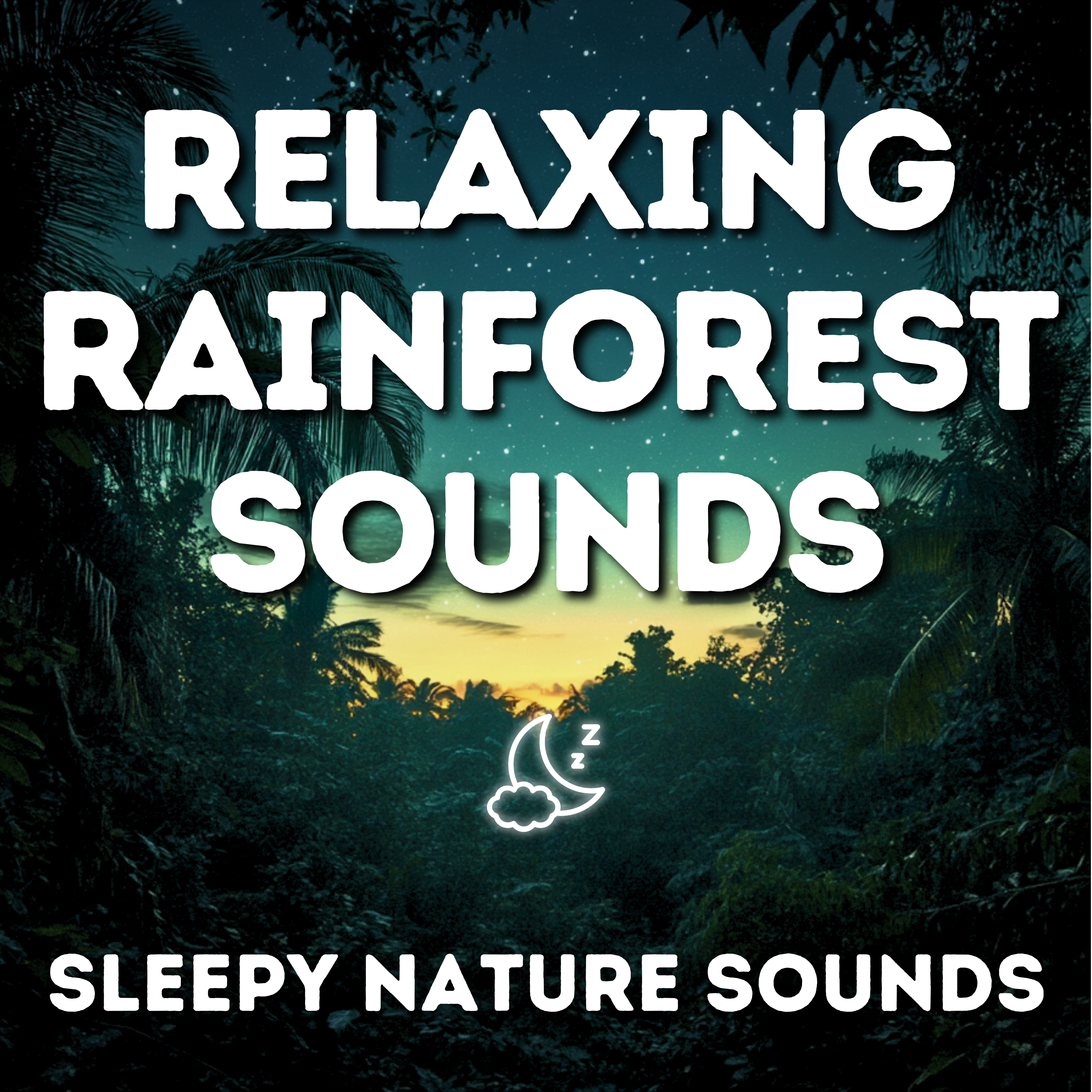 Rainforest Rain - 9 hour Tranquil Rain Sounds for Sleep, Studying and Relaxation