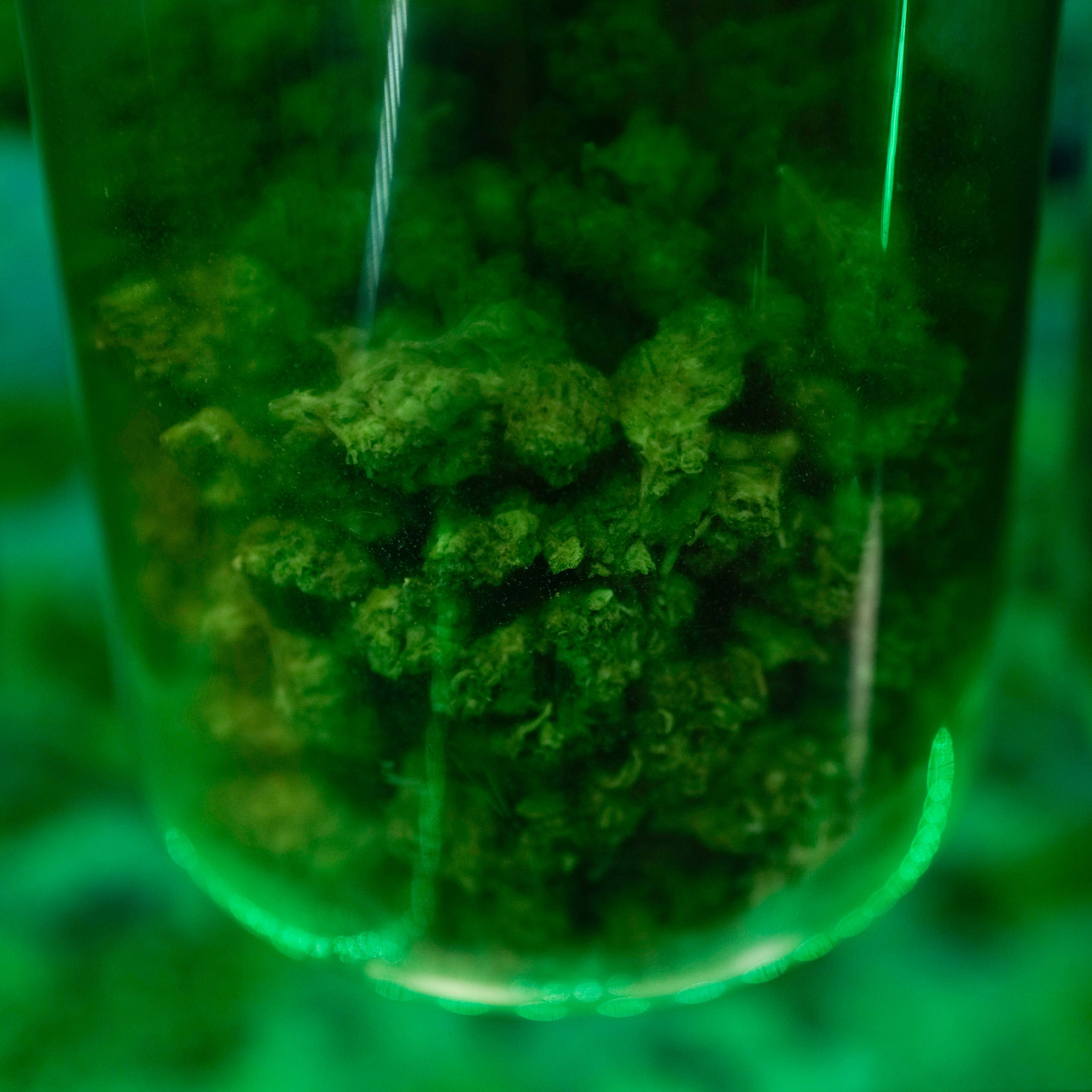 Study: Marijuana May Harm Heart Health