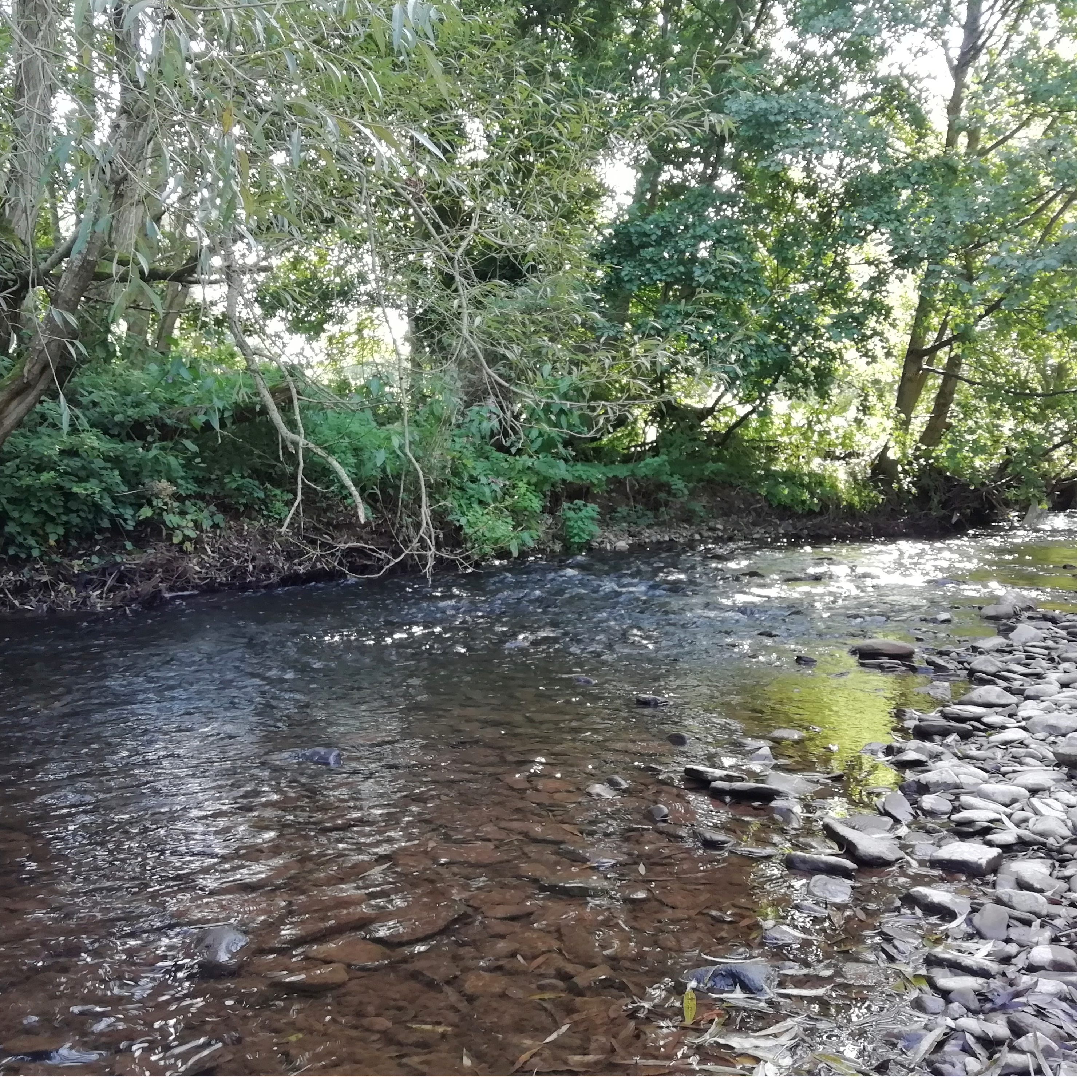 Explore rivers, lakes, ponds and streams in this special season of podcasts devoted to water