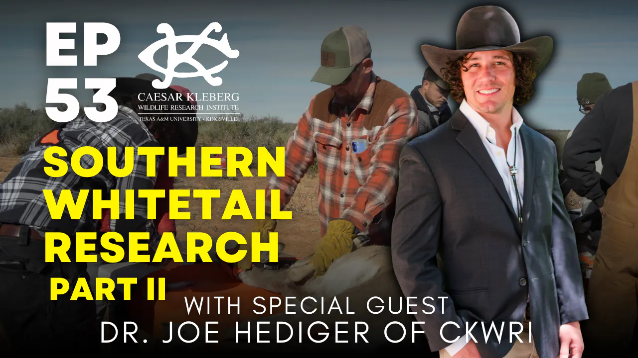Southern Whitetail Research Part II episode artwork