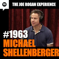 #1963 - Michael Shellenberger artwork