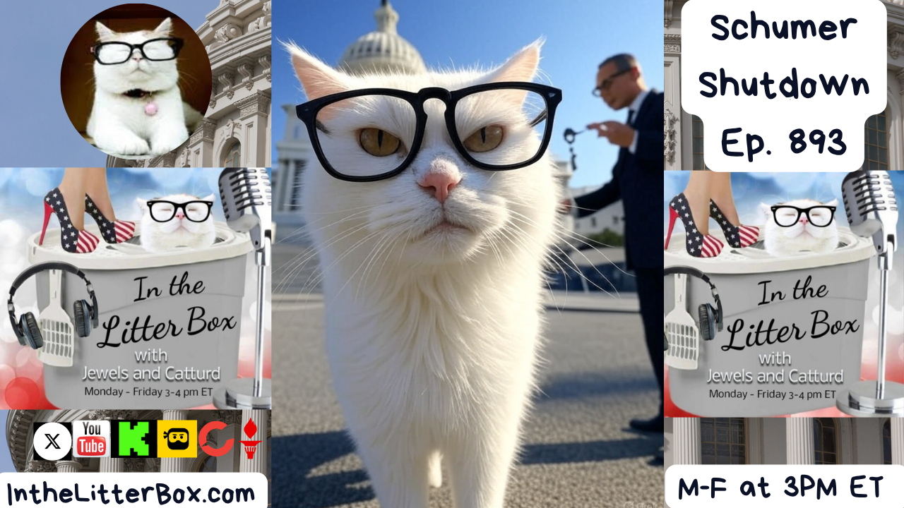 Schumer Shutdown | In the Litter Box w/ Jewels & Catturd – Ep. 893 – 10/1/2025