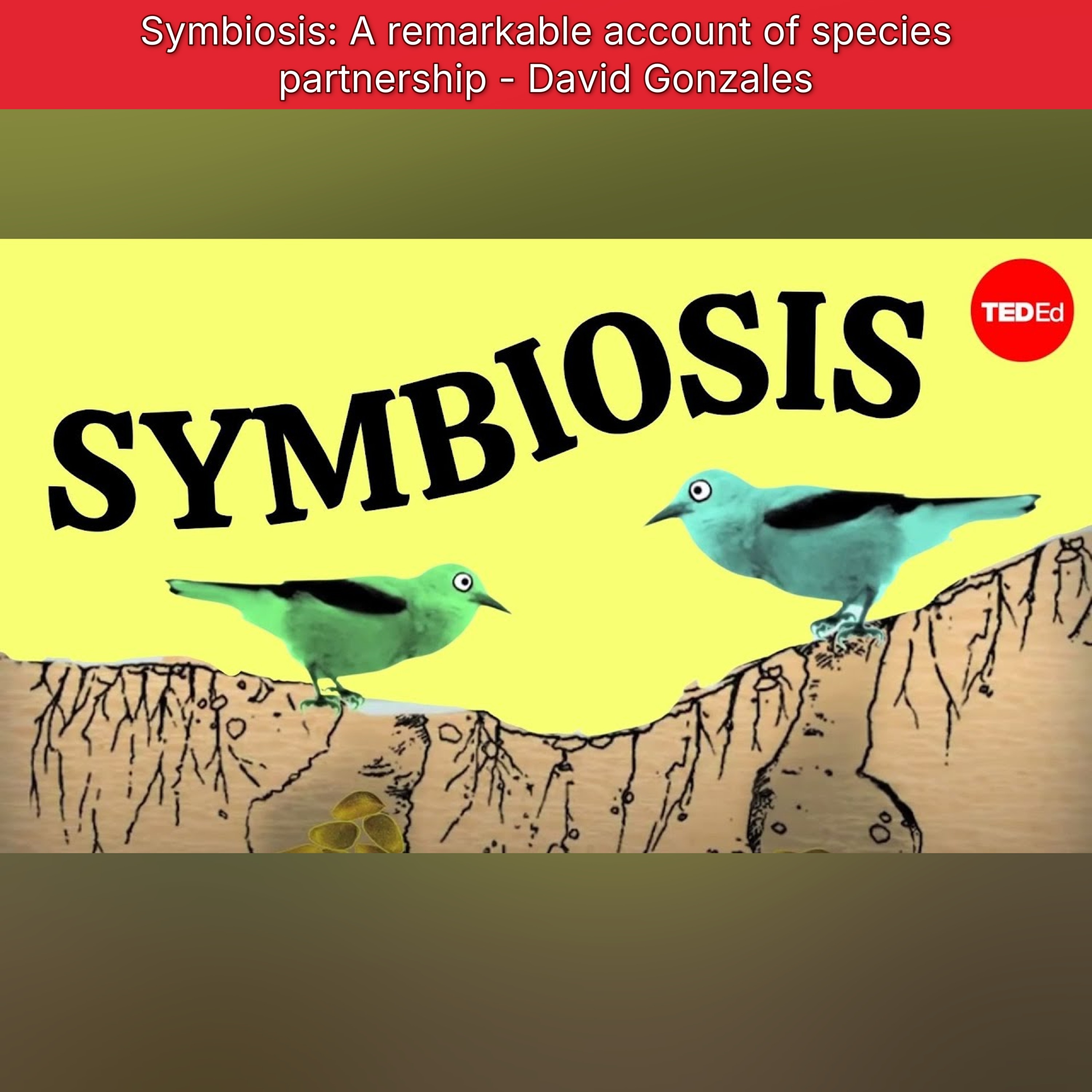 Symbiosis: A remarkable account of species partnership - David Gonzales