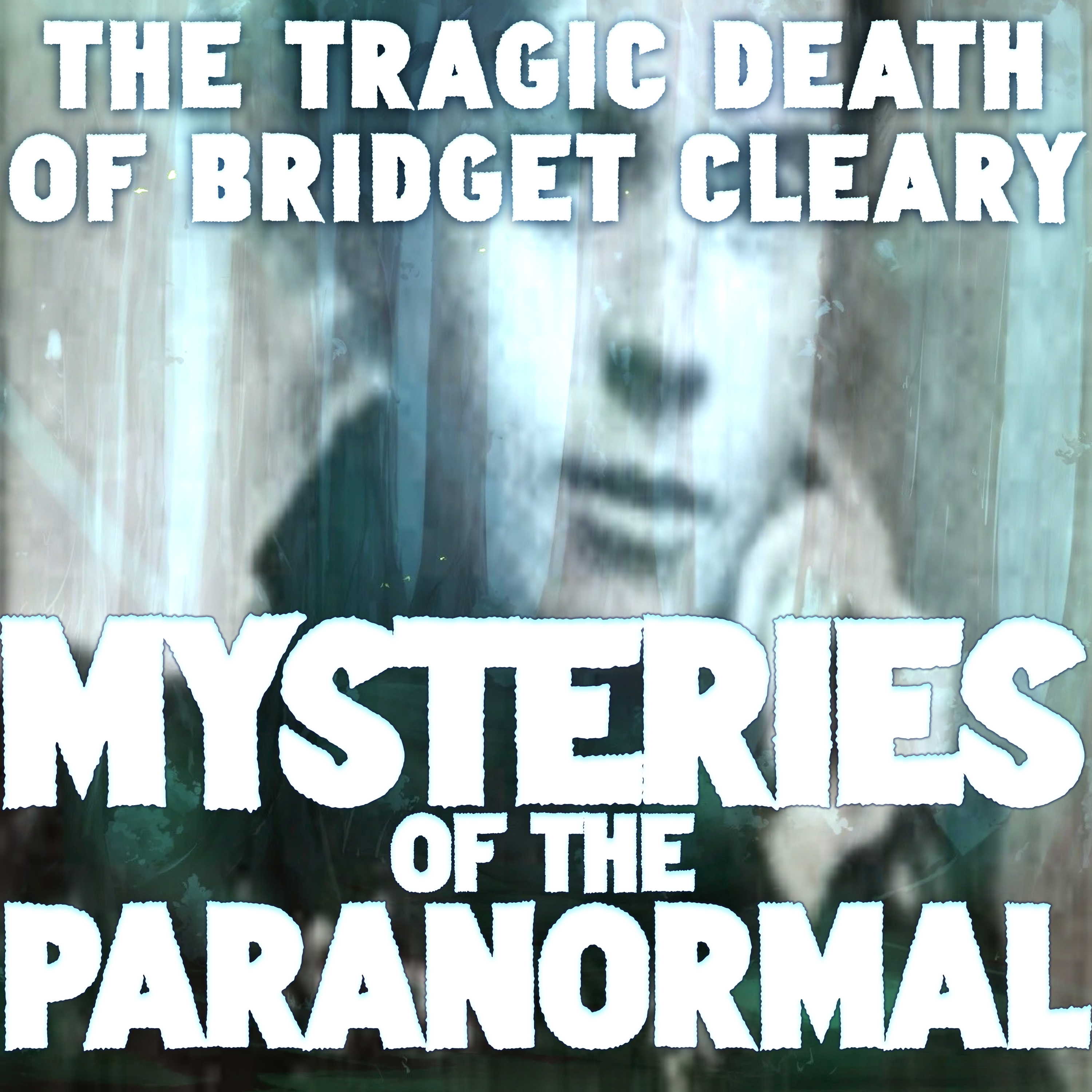 The Enigmatic Demise: Unraveling the Tragic Death of Bridget Cleary