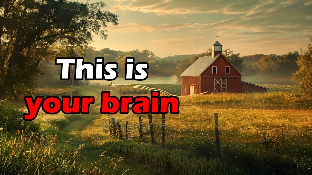 cognitive bias is keeping you angry and afraid | Artificial Intelligence Masterclass