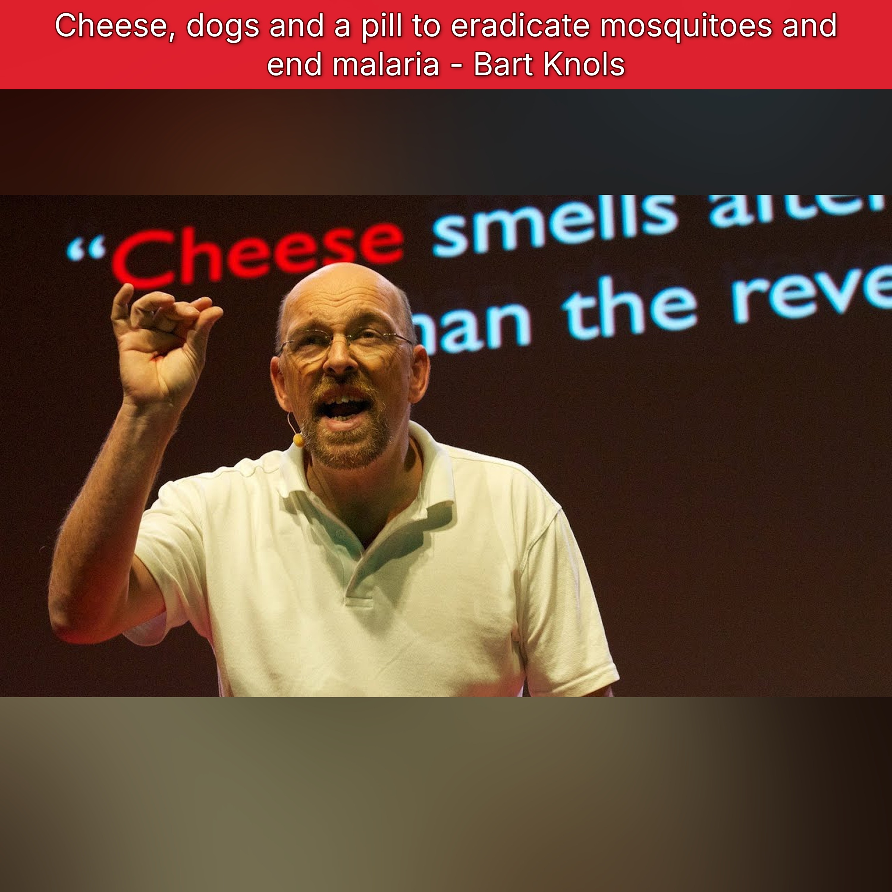 Cheese, dogs and a pill to eradicate mosquitoes and end malaria - Bart Knols episode artwork