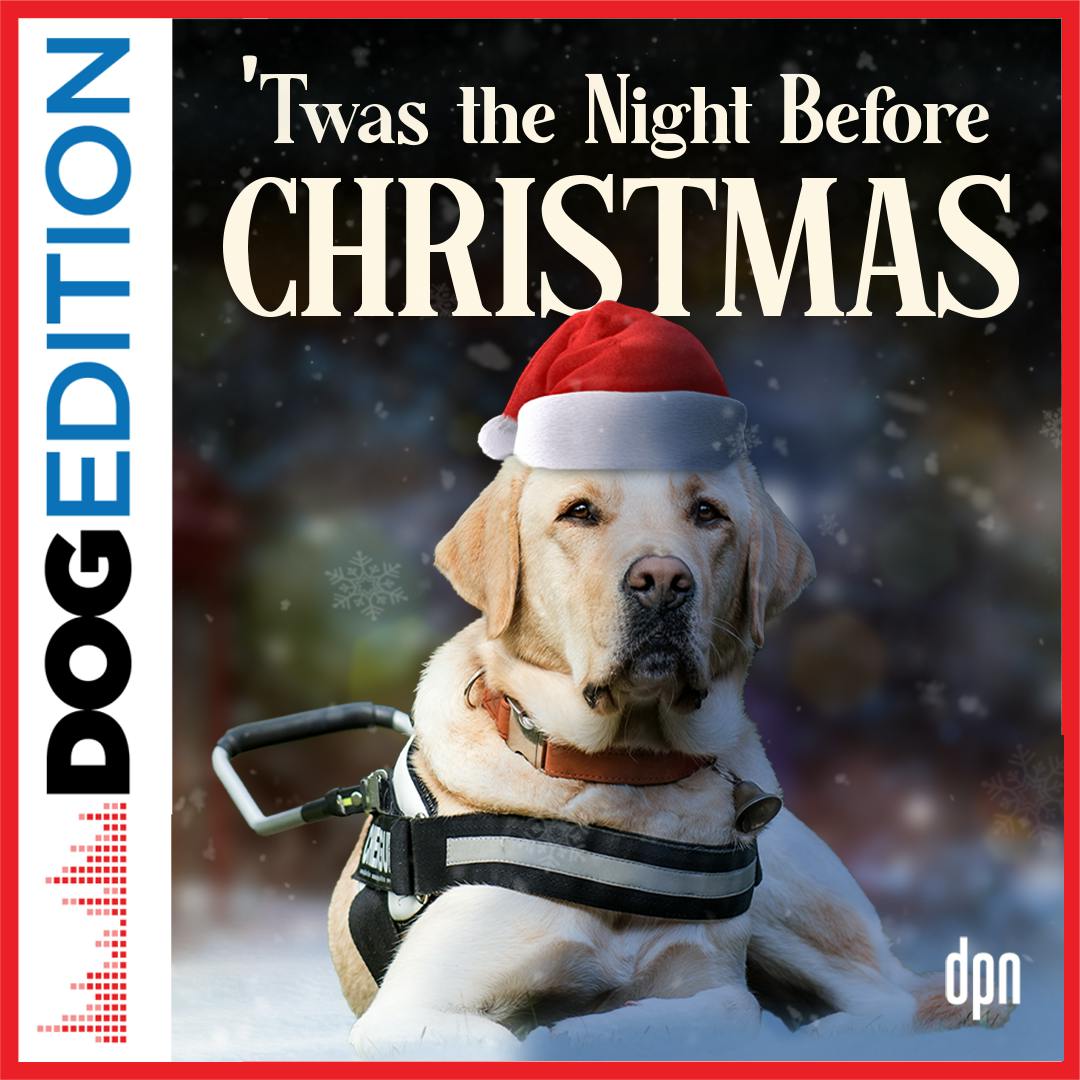 ‘Twas the Night Before Christmas | Dog Edition #77