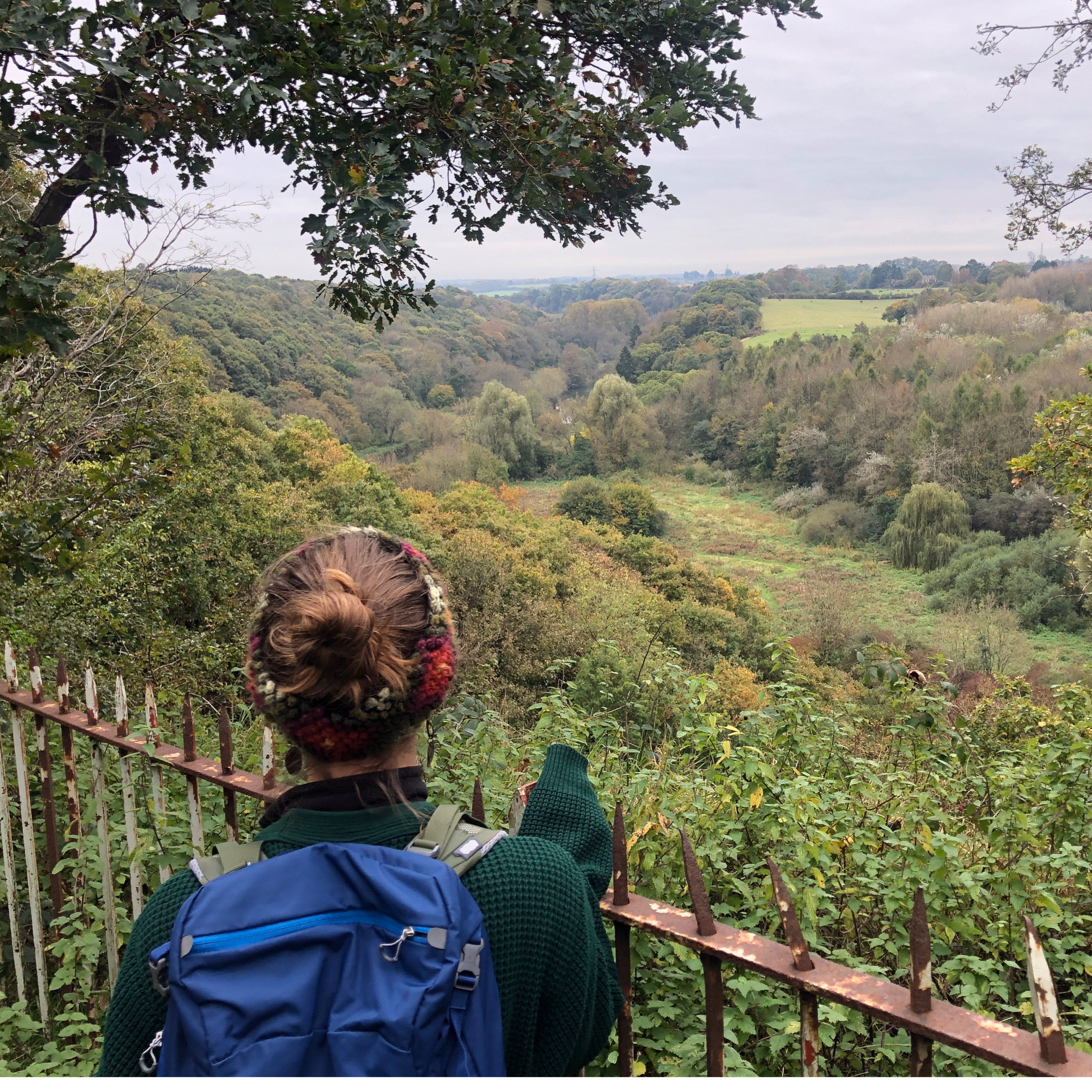 79. Autumn foraging for free food and simple cures with a modern herbalist