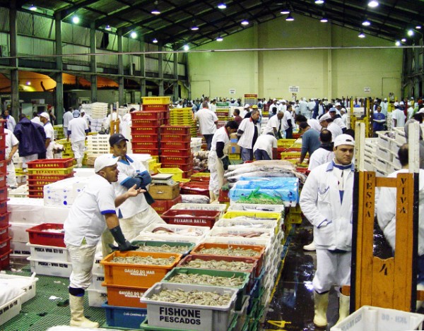 'Santa Feira do Peixe' no Ceagesp tem produtos a preços promocionais e semiatacado