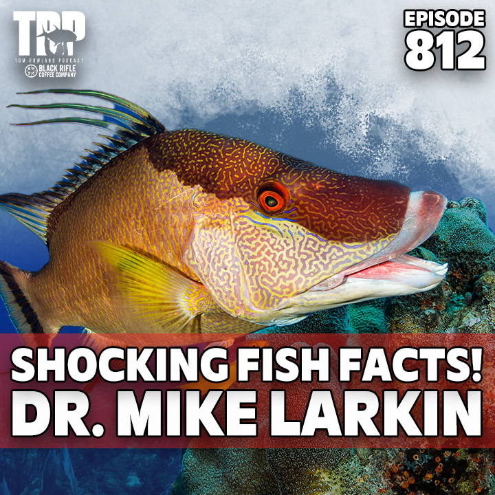 Shocking Fish Facts with Dr. Mike Larkin
