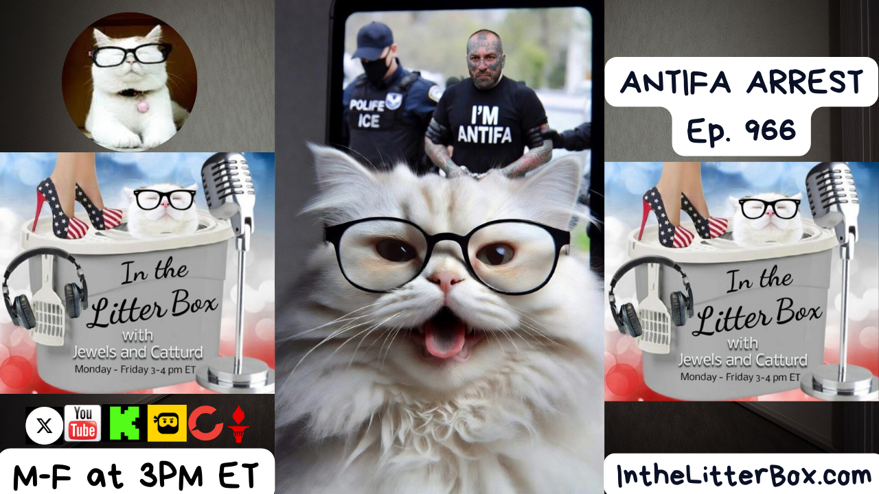 ANTIFA ARREST | In the Litter Box w/ Jewels Jones & Catturd – Ep. 966 – 2/6/2026