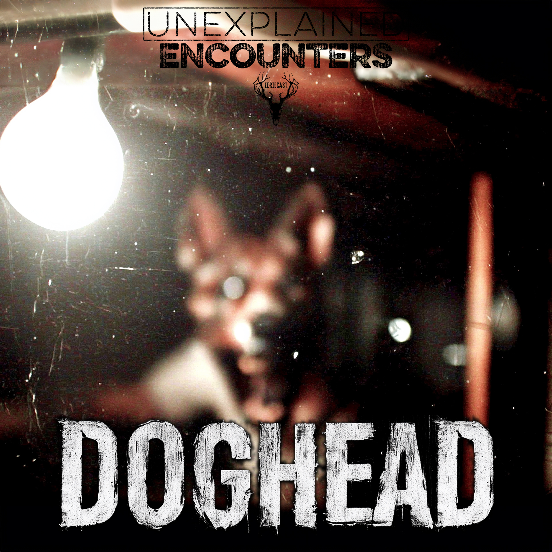 Doghead: The Story that will BREAK YOU