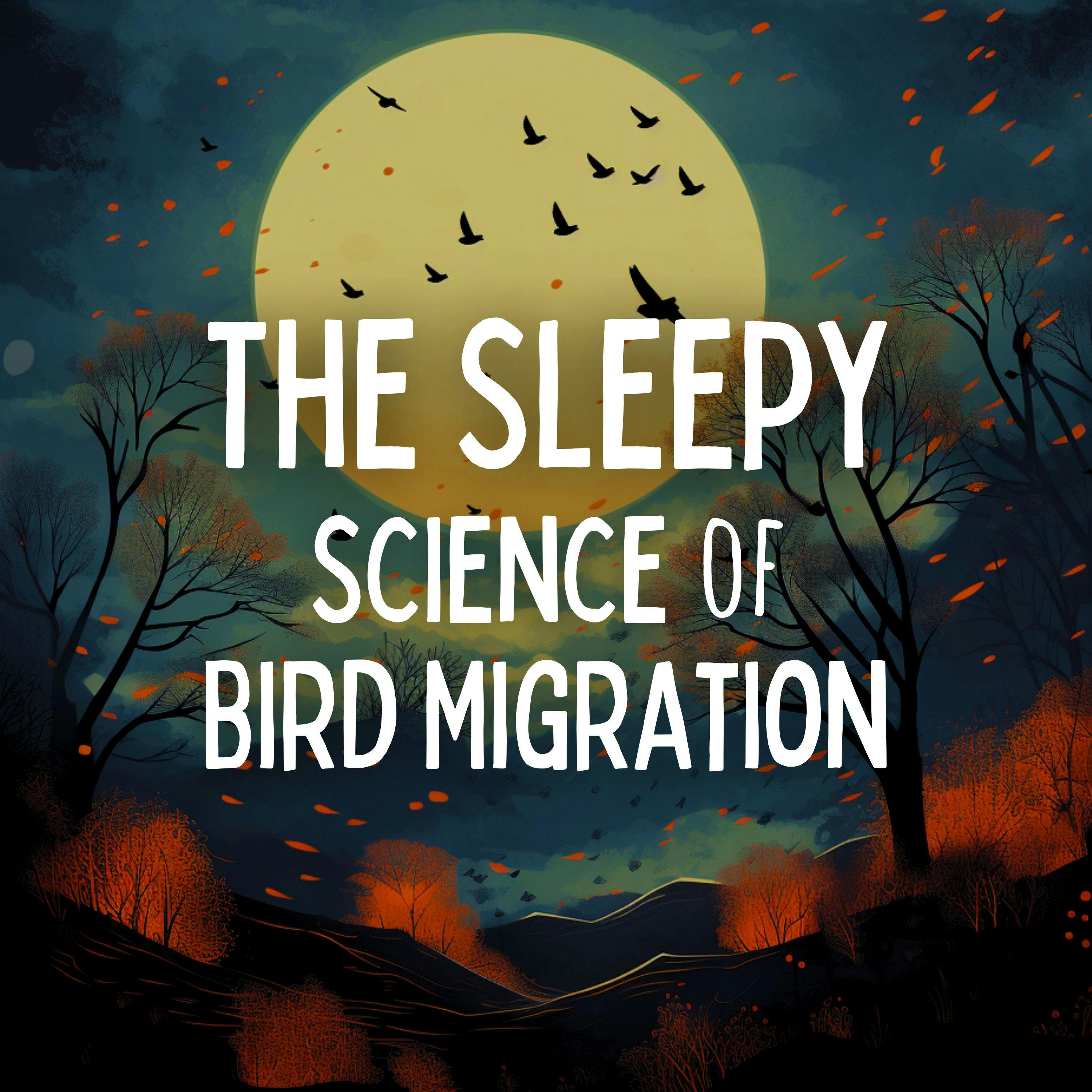 The Sleepy Science of Bird MigrationEpisode 417