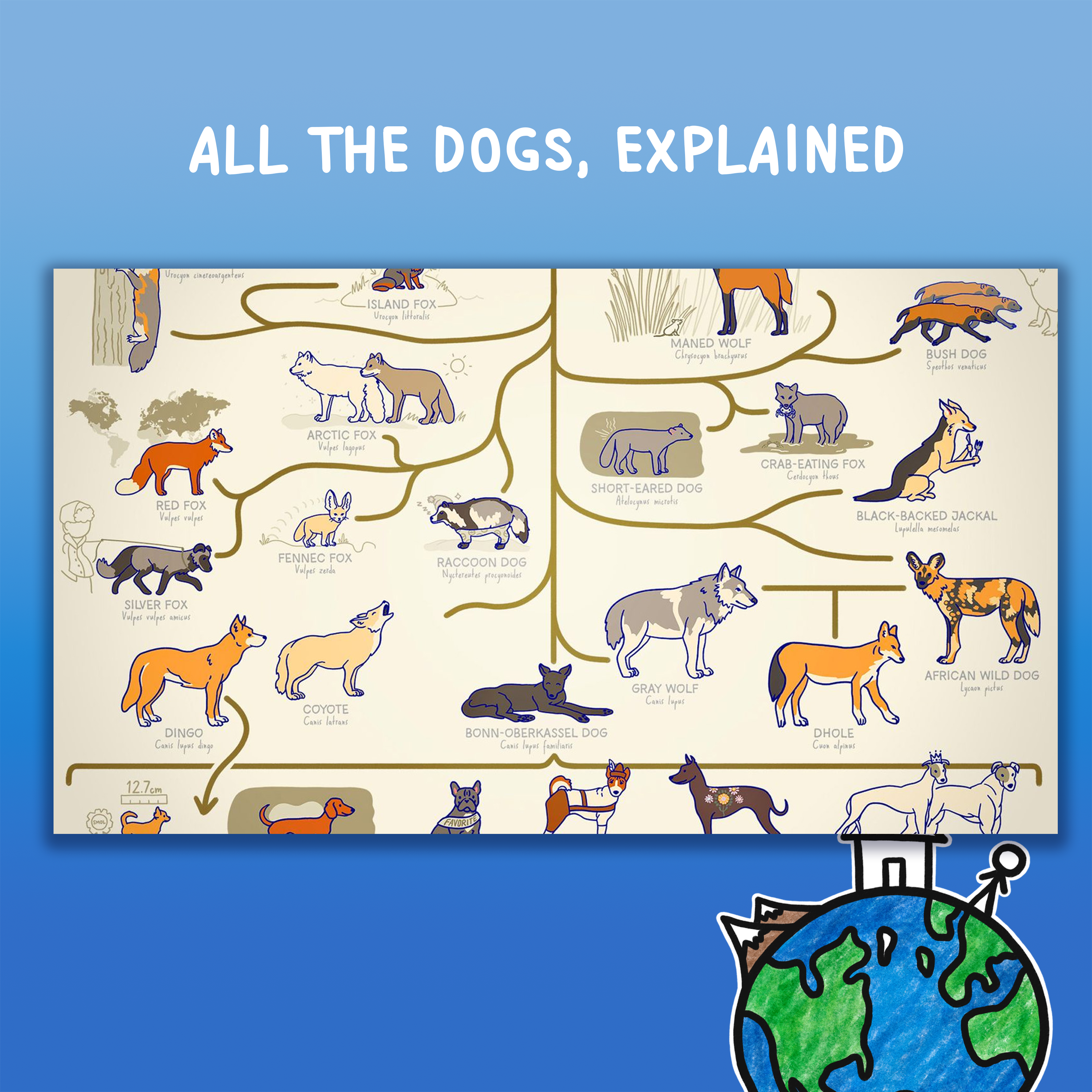 ALL THE DOGS, EXPLAINED