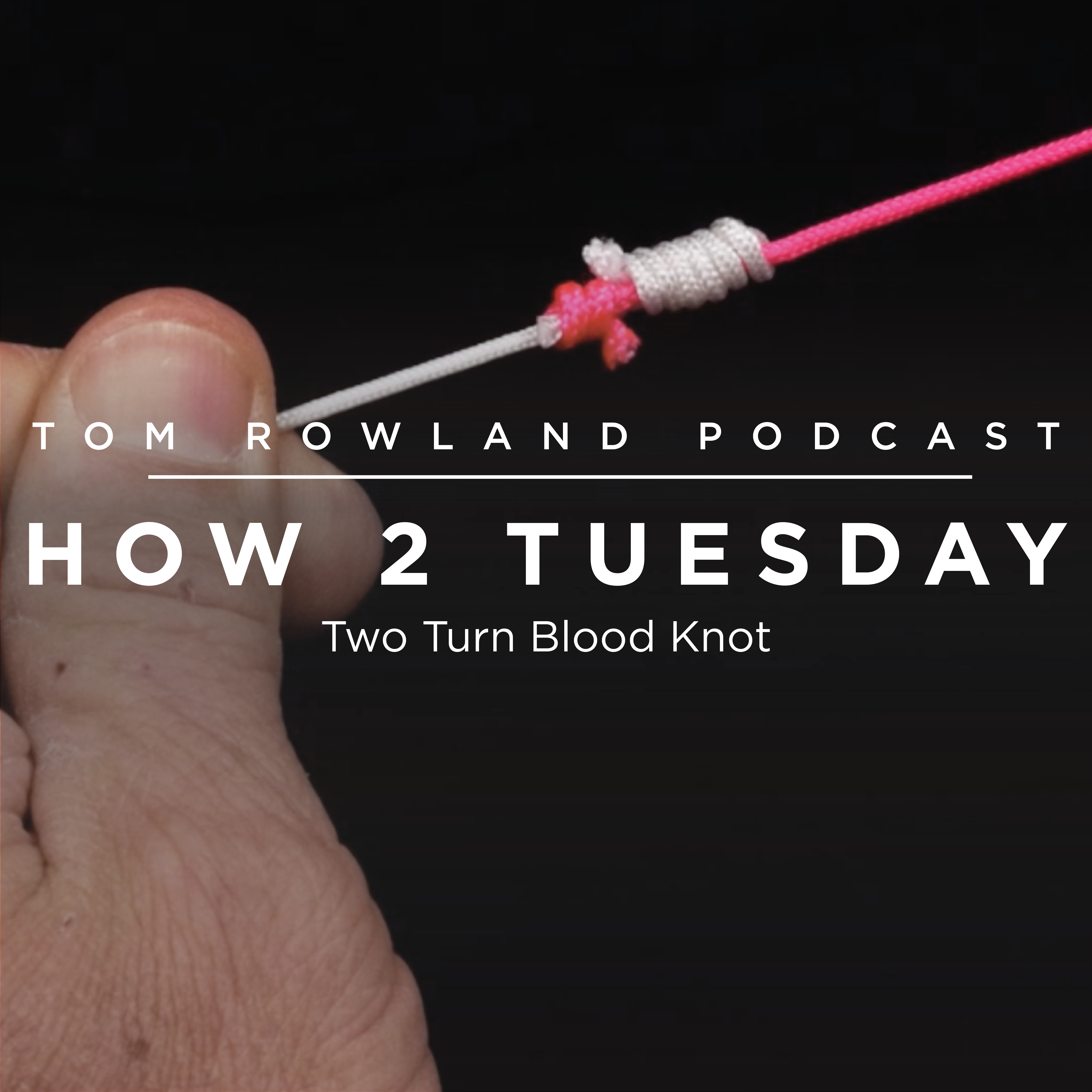 Two Turn Blood Knot - HOW 2 TUESDAY #64