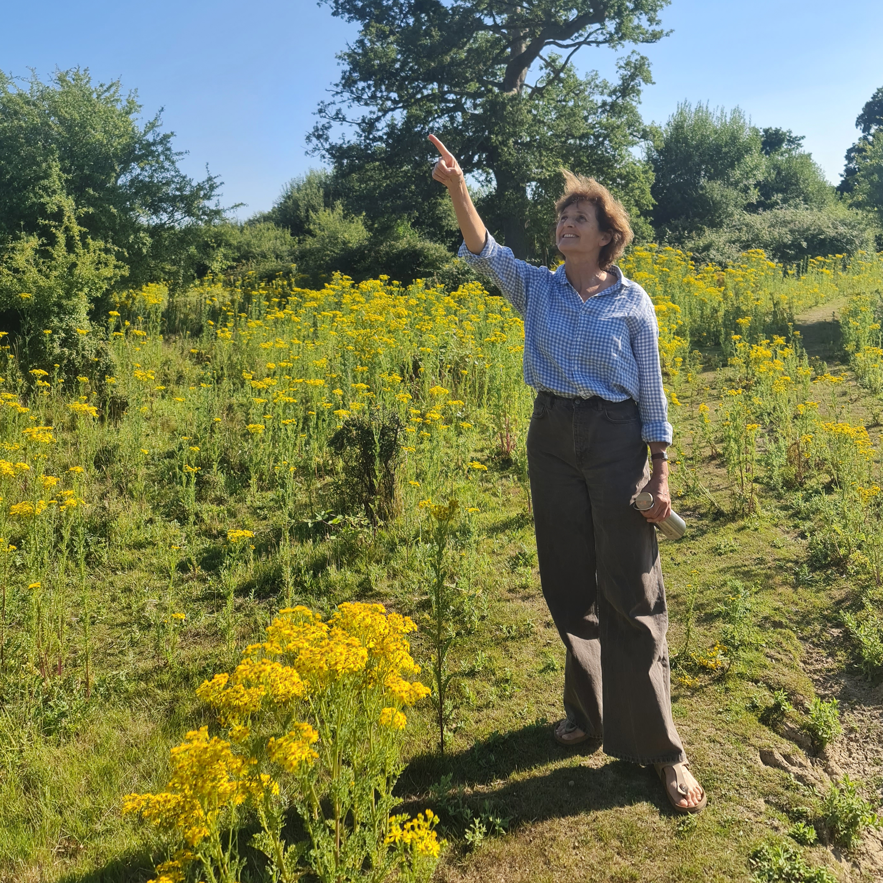 313. A quest to find storks and turtle doves at Knepp Wildlands - with Isabella Tree