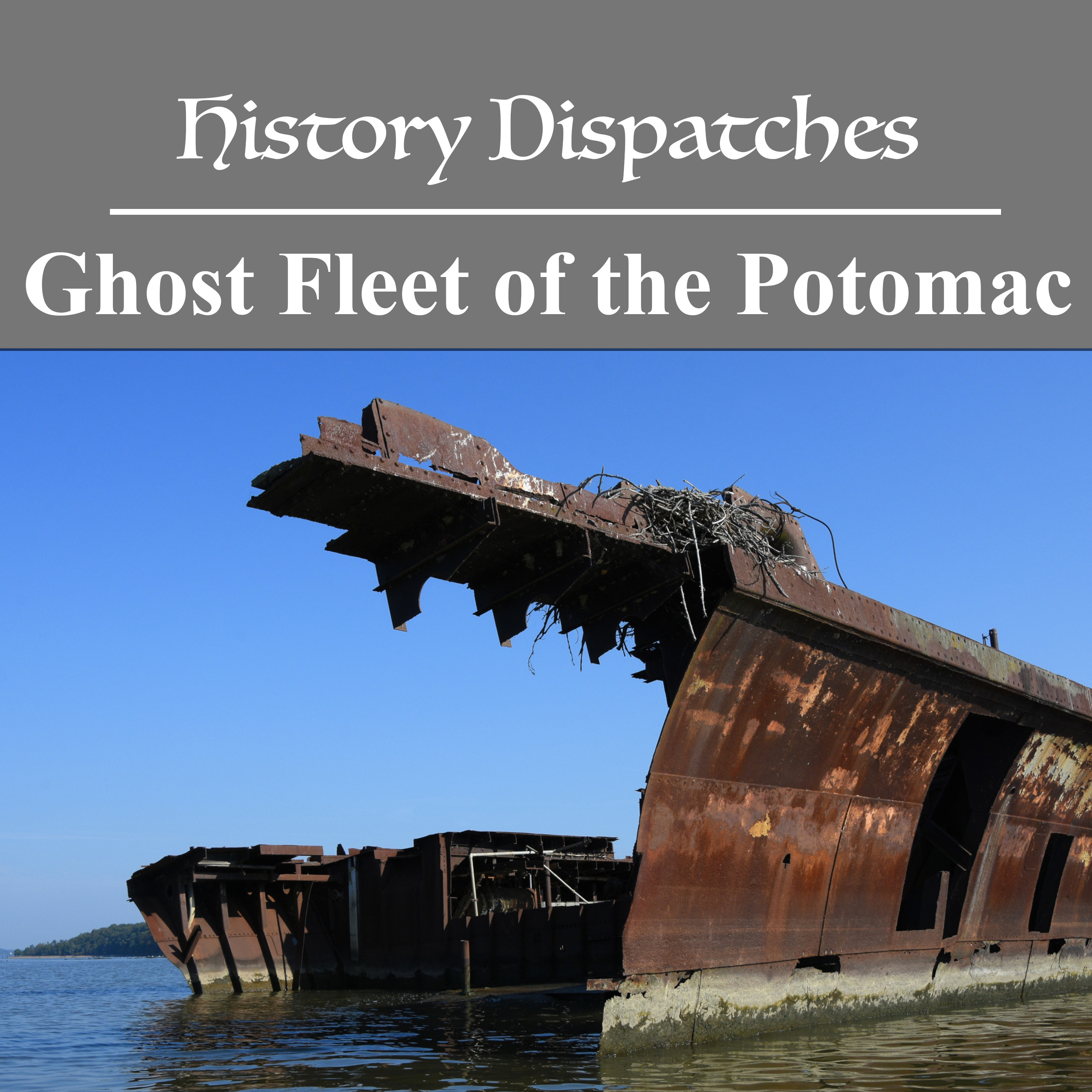 Ghost Fleet of the Potomac