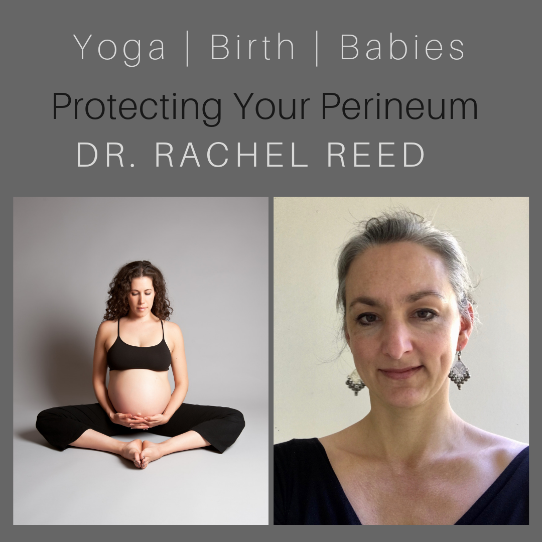 Protecting Your Perineum with Dr. Rachel Reed episode artwork