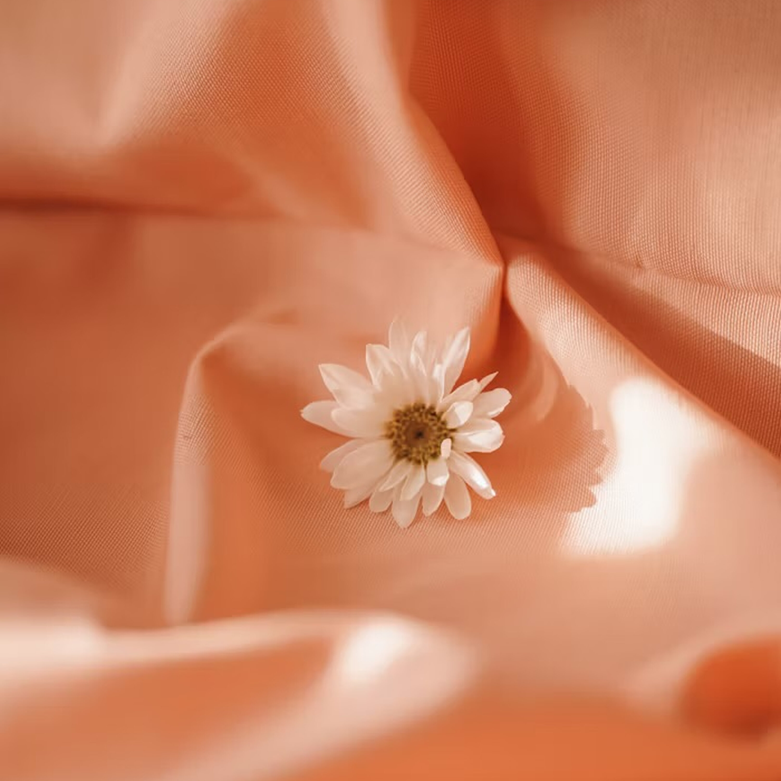 Ep. 461: Ebbs, Flows, & “Sheetography”