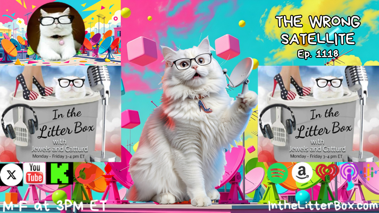THE WRONG SATELLITE | In the Litter Box w/ Jewels & Catturd – Ep. 1118 – 10/19/2026 episode artwork
