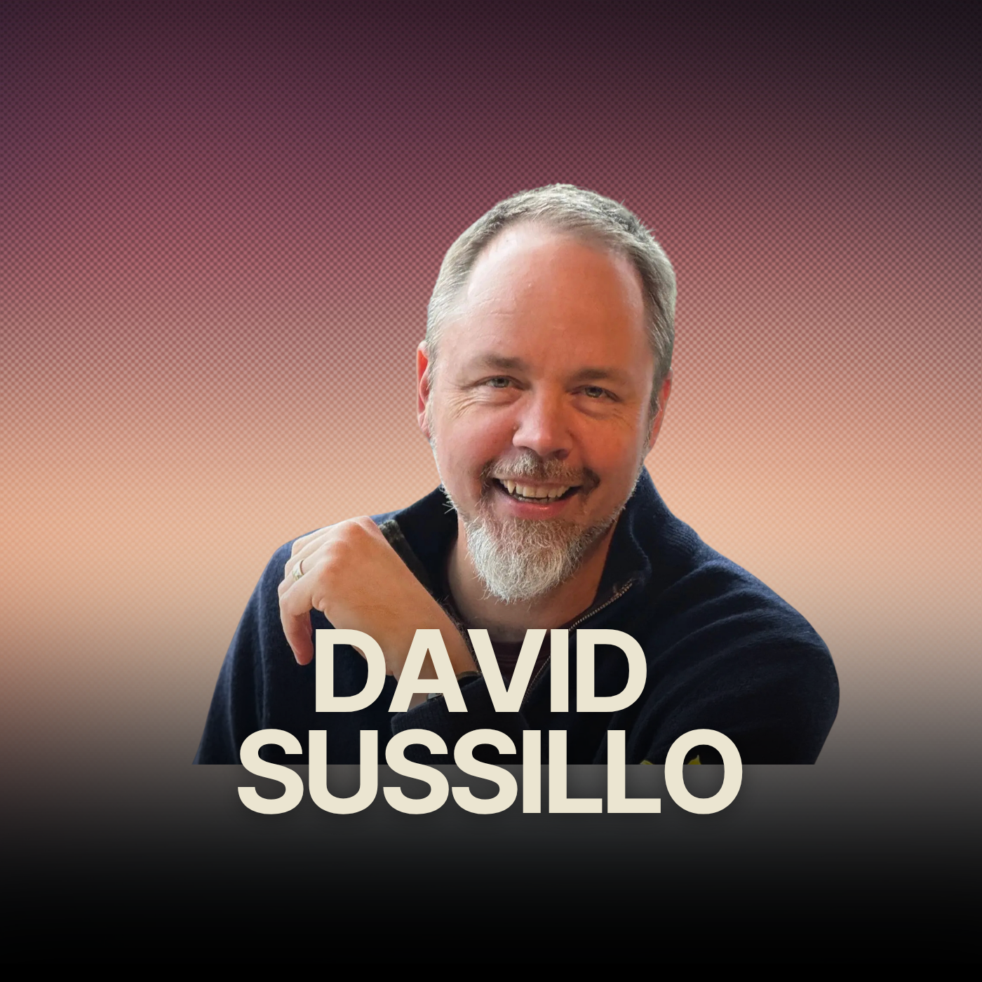 What Creates The Feeling of You? w/ Neuroscientist David Sussillo episode artwork