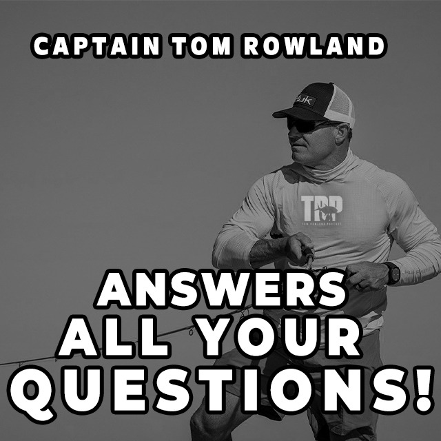 I Answer Your Questions!