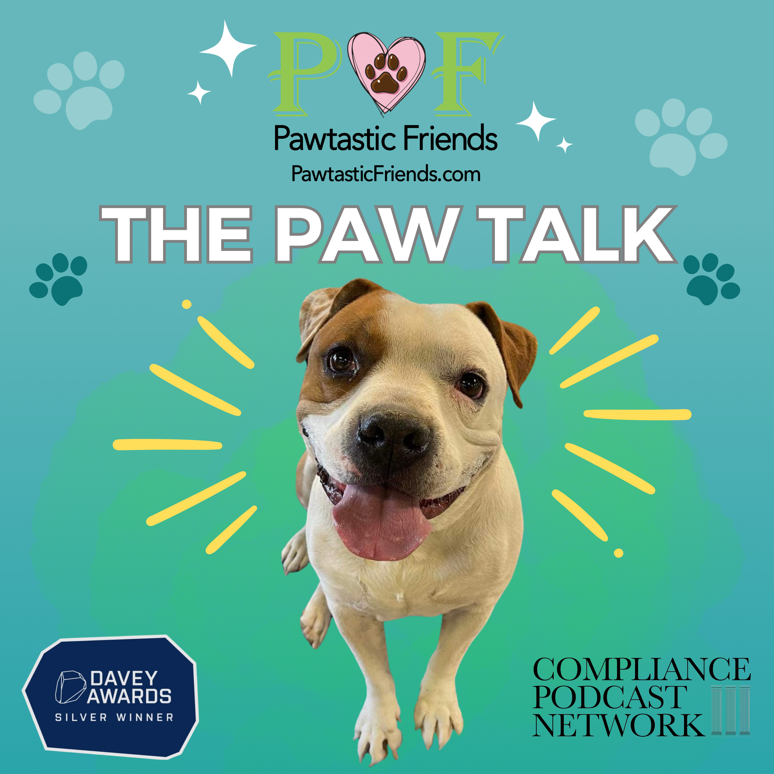 Emelia McDonald and The Pawtastic Friends Volunteers episode artwork