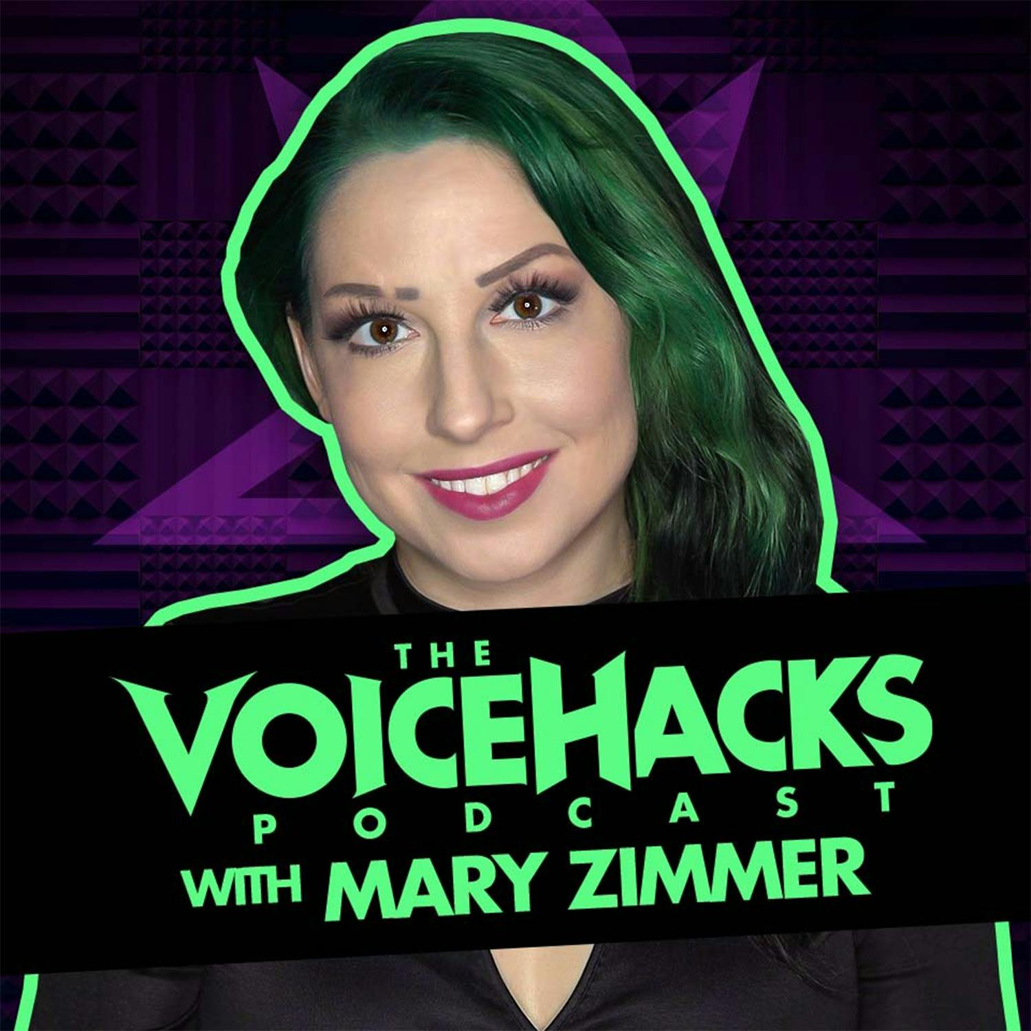 The VoiceHacks Podcast Album Art