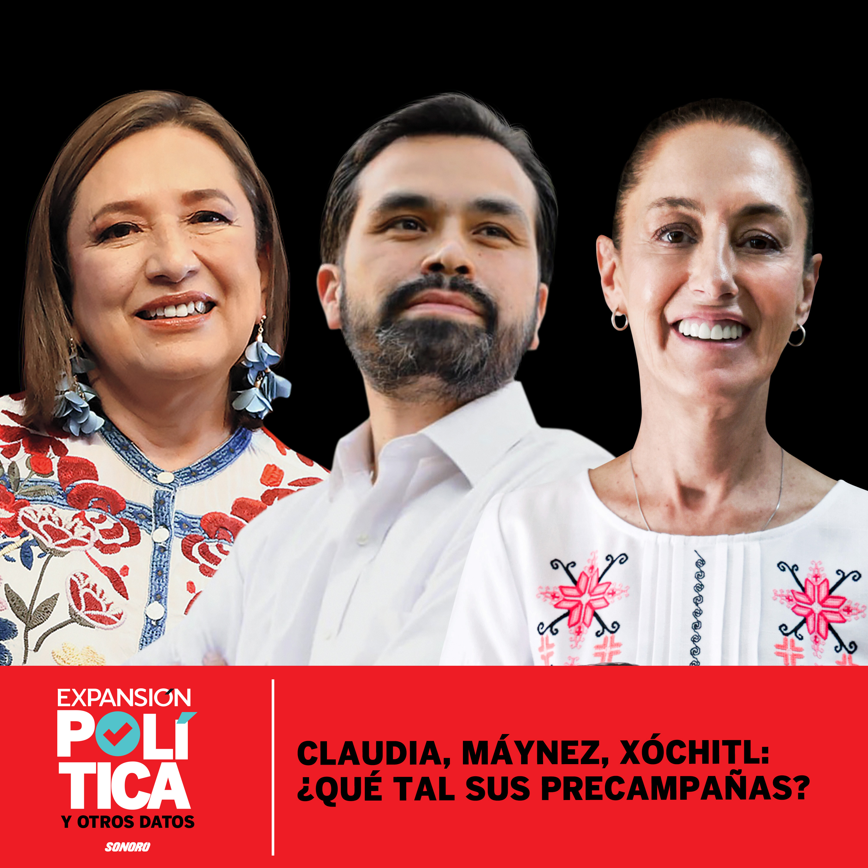 Política y otros datos: La vida pública explicada