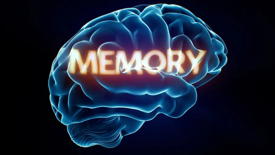 Al morir ¿Preservarías los recuerdos de tu cerebro?