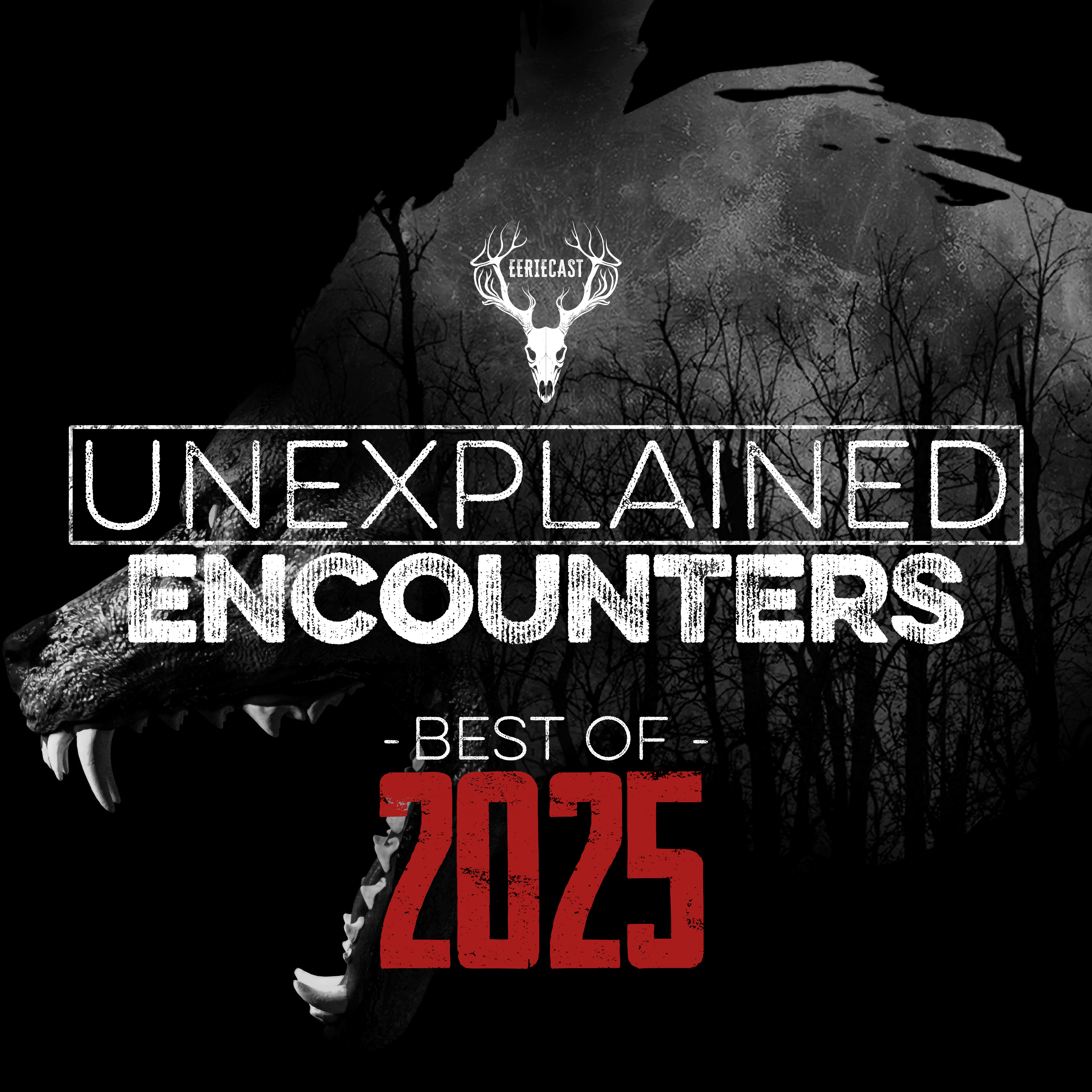 The Absolute SCARIEST Stories of 2025