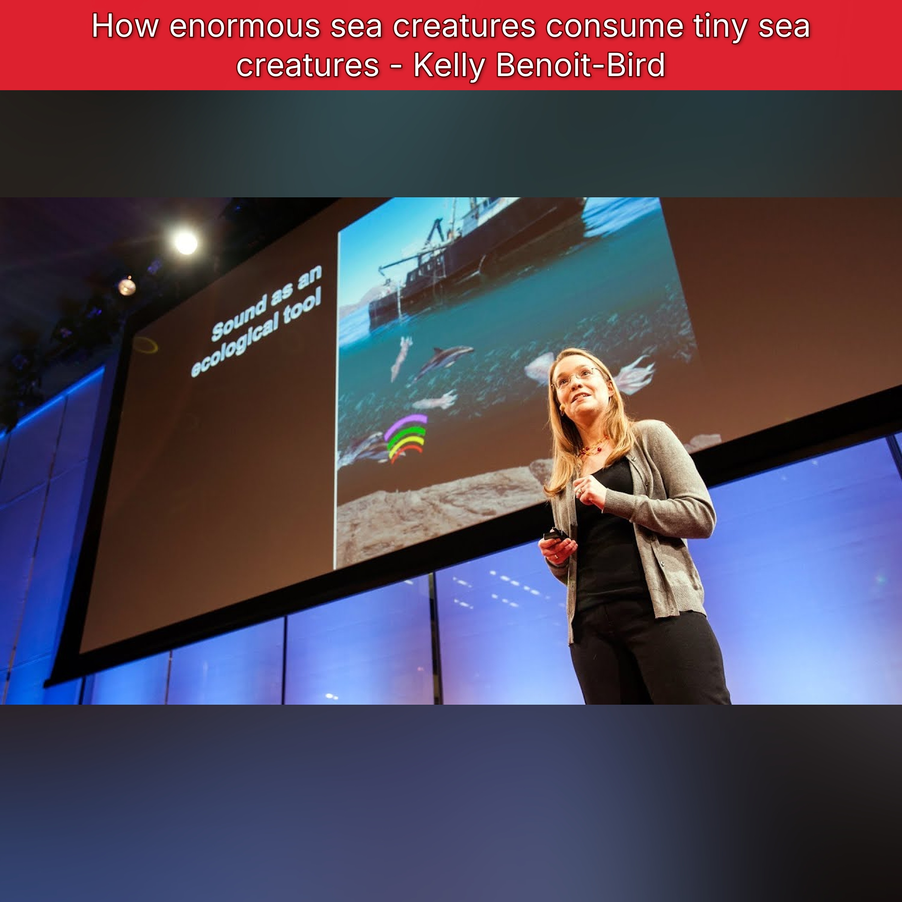 How enormous sea creatures consume tiny sea creatures - Kelly Benoit-Bird