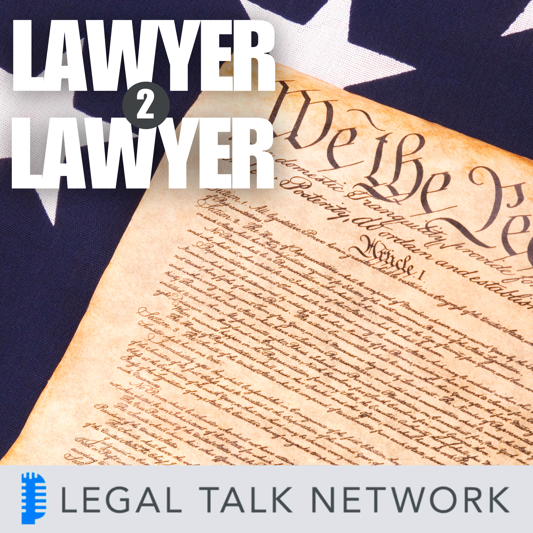 Lawyers: Defending the Constitution & Fighting for our Democracy